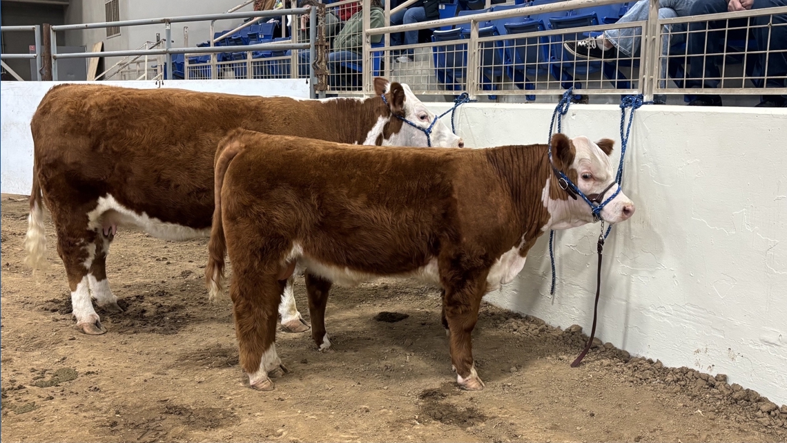 Pennsylvania Farm Show participants face economic challenges in their industries