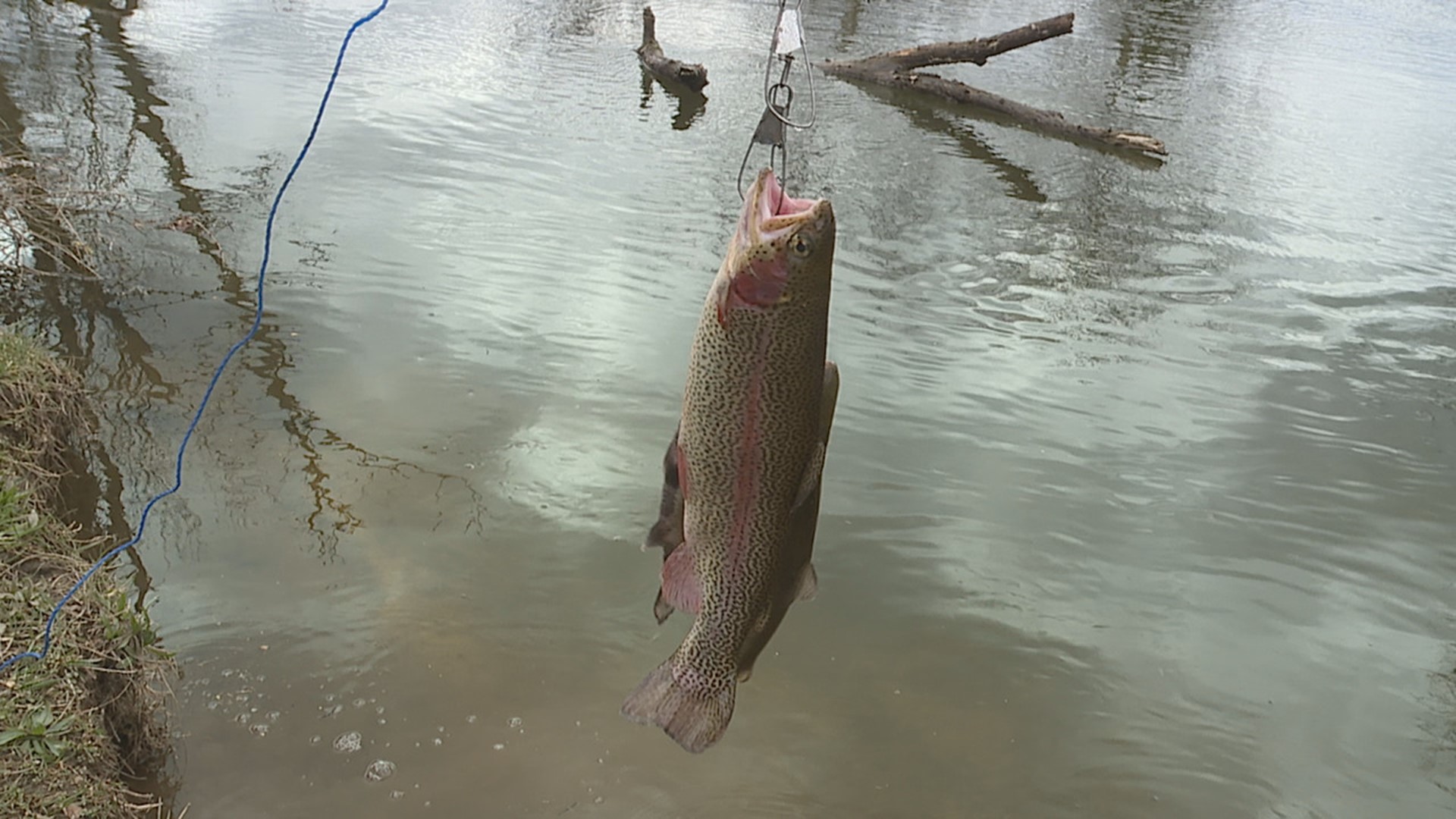 Podcast: Episode 324, Trout Fishing in Pennsylvania - Harvesting Nature