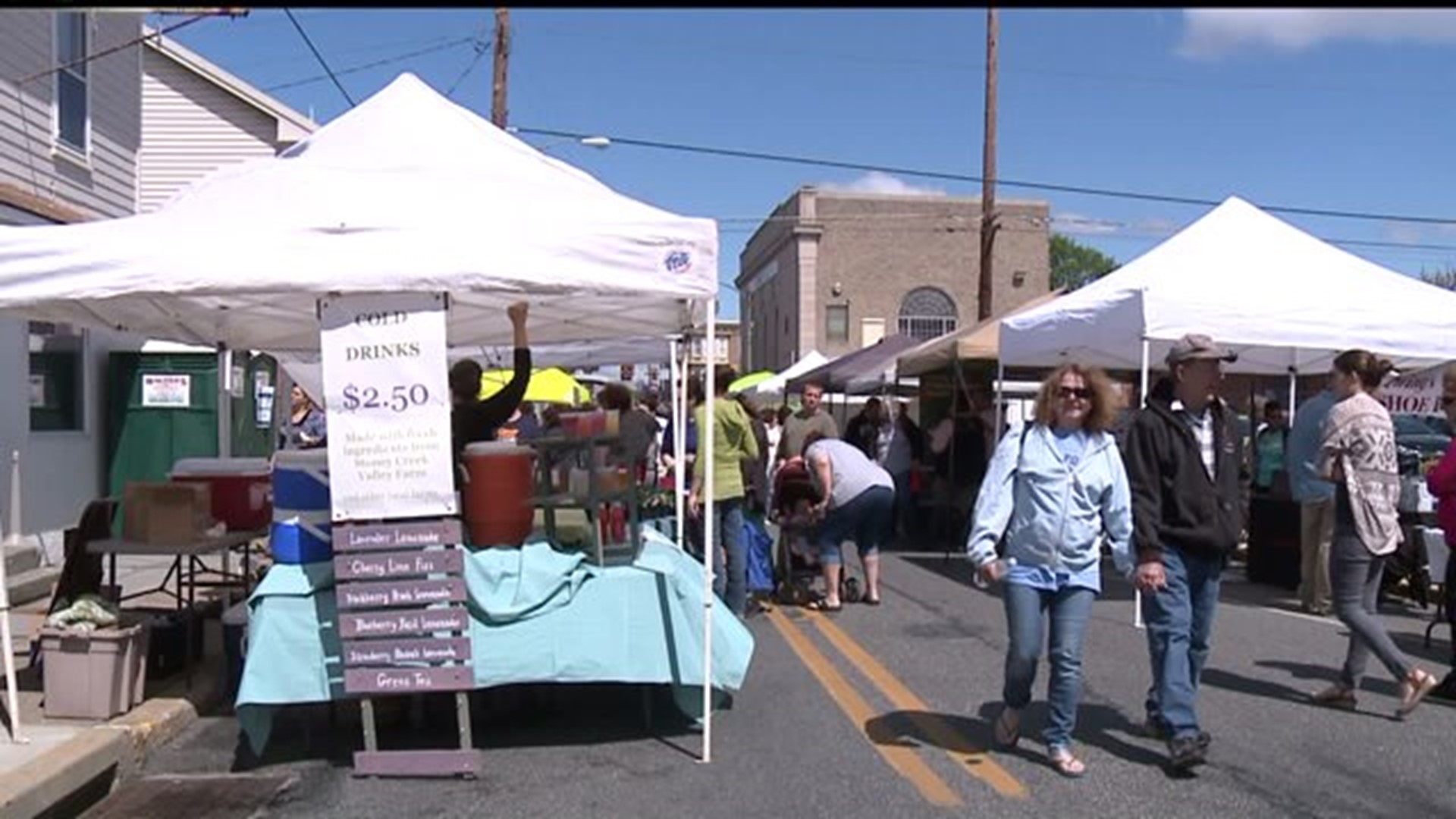 Earth Day Festival draws crowd in Cumberland County