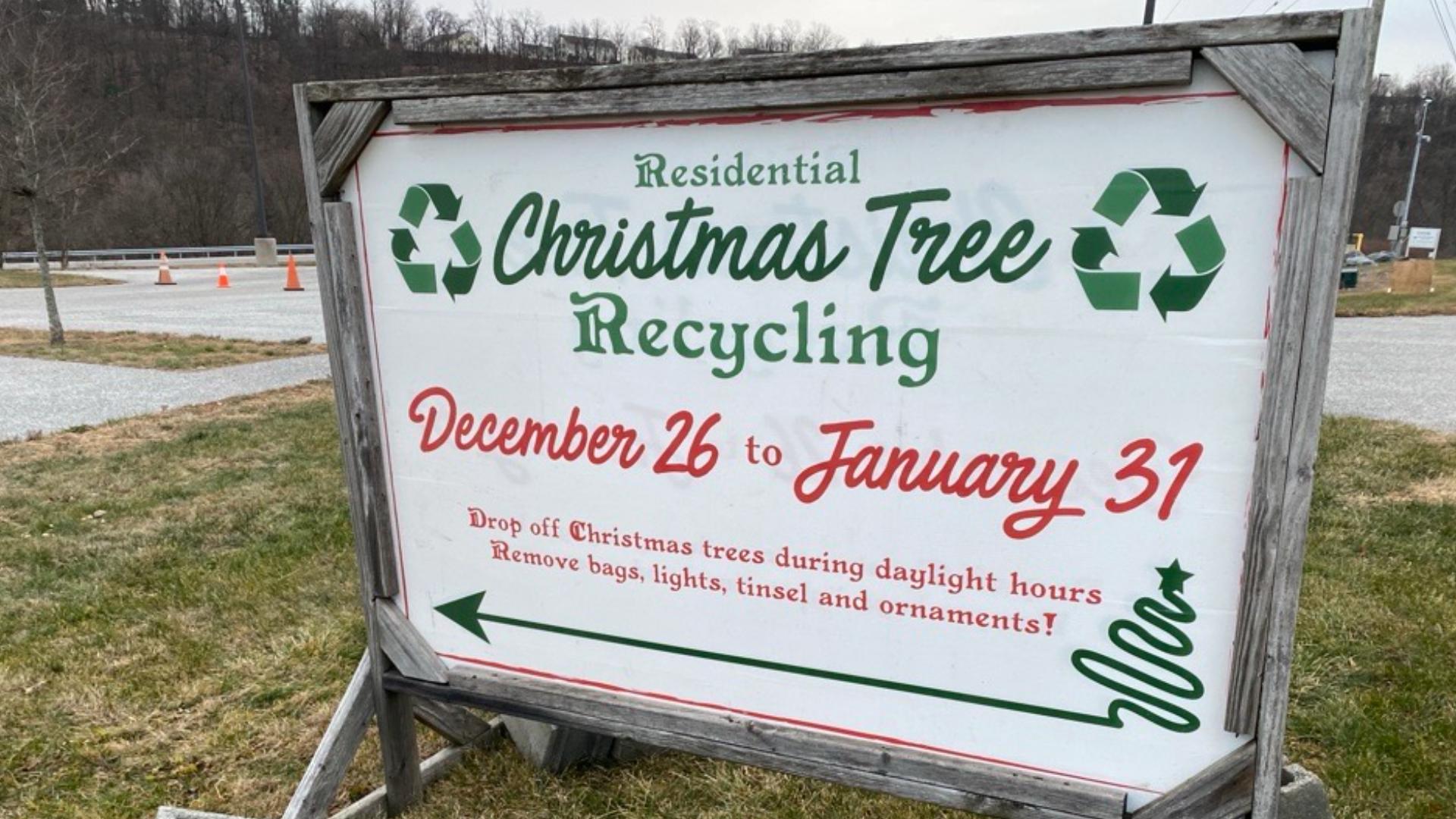 Christmas tree recycling program available for York County residents ...