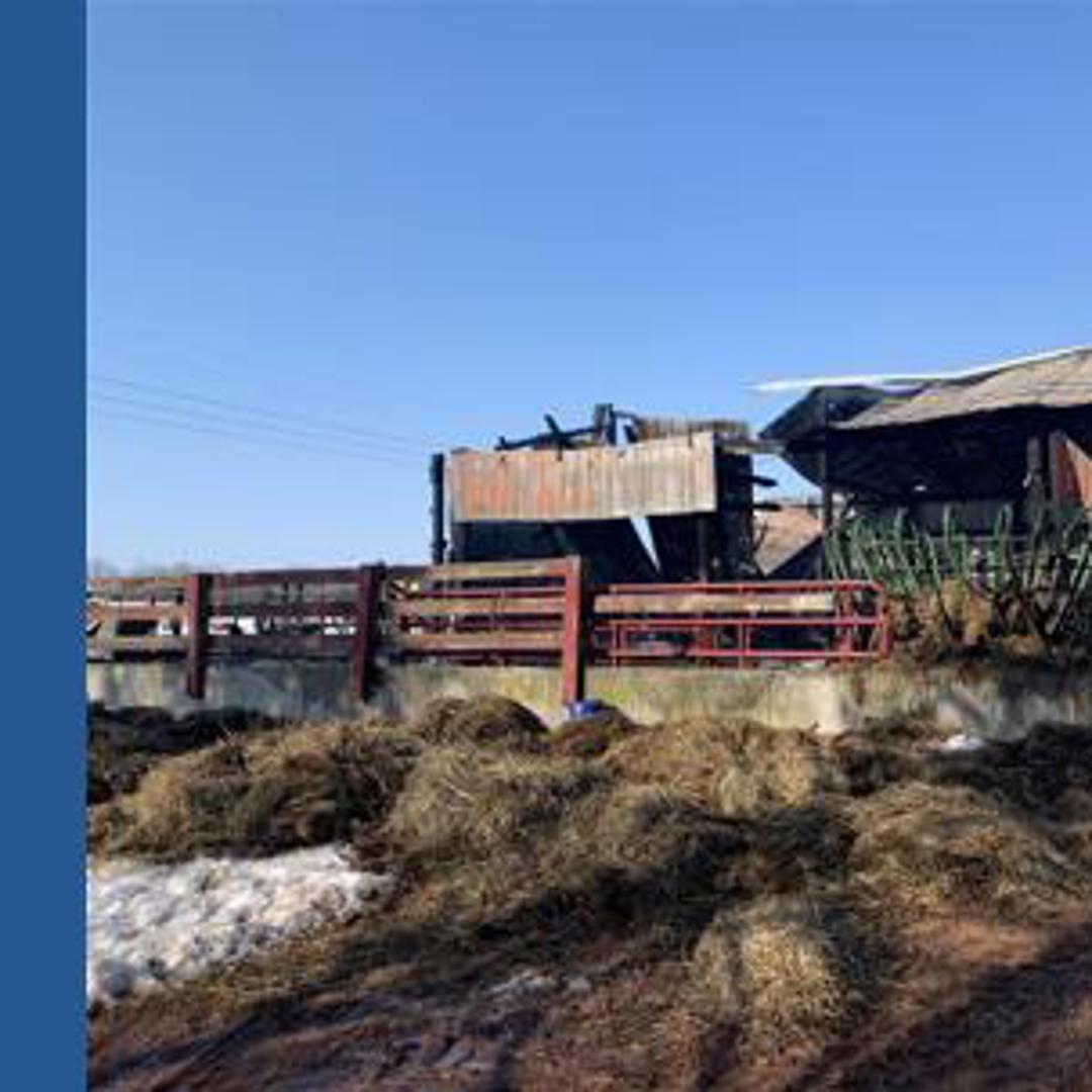 Barn fire in Adams County kills one cow, three goats | fox43.com