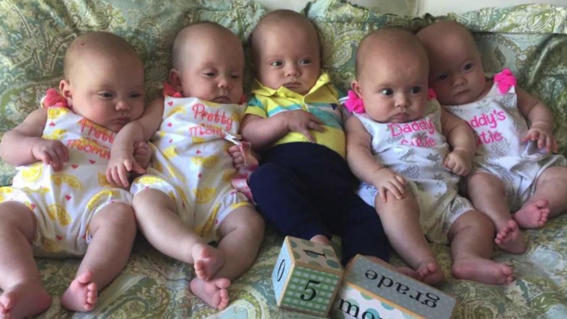Four girls, one boy: Quintuplets make their debut | fox43.com