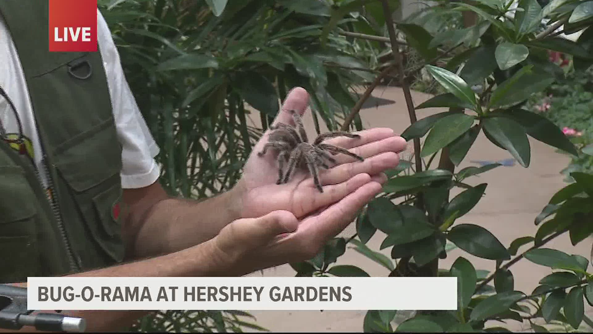 The fourth annual Bug-O-Rama runs from 10 a.m. to 3 p.m. on Sunday, September 13 at Hershey Gardens.