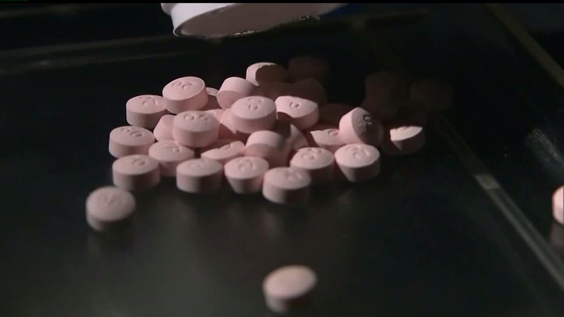 York County opioid awareness town hall preview