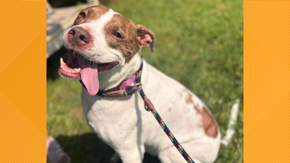 f3eacd16 0071 4ab4 8a13