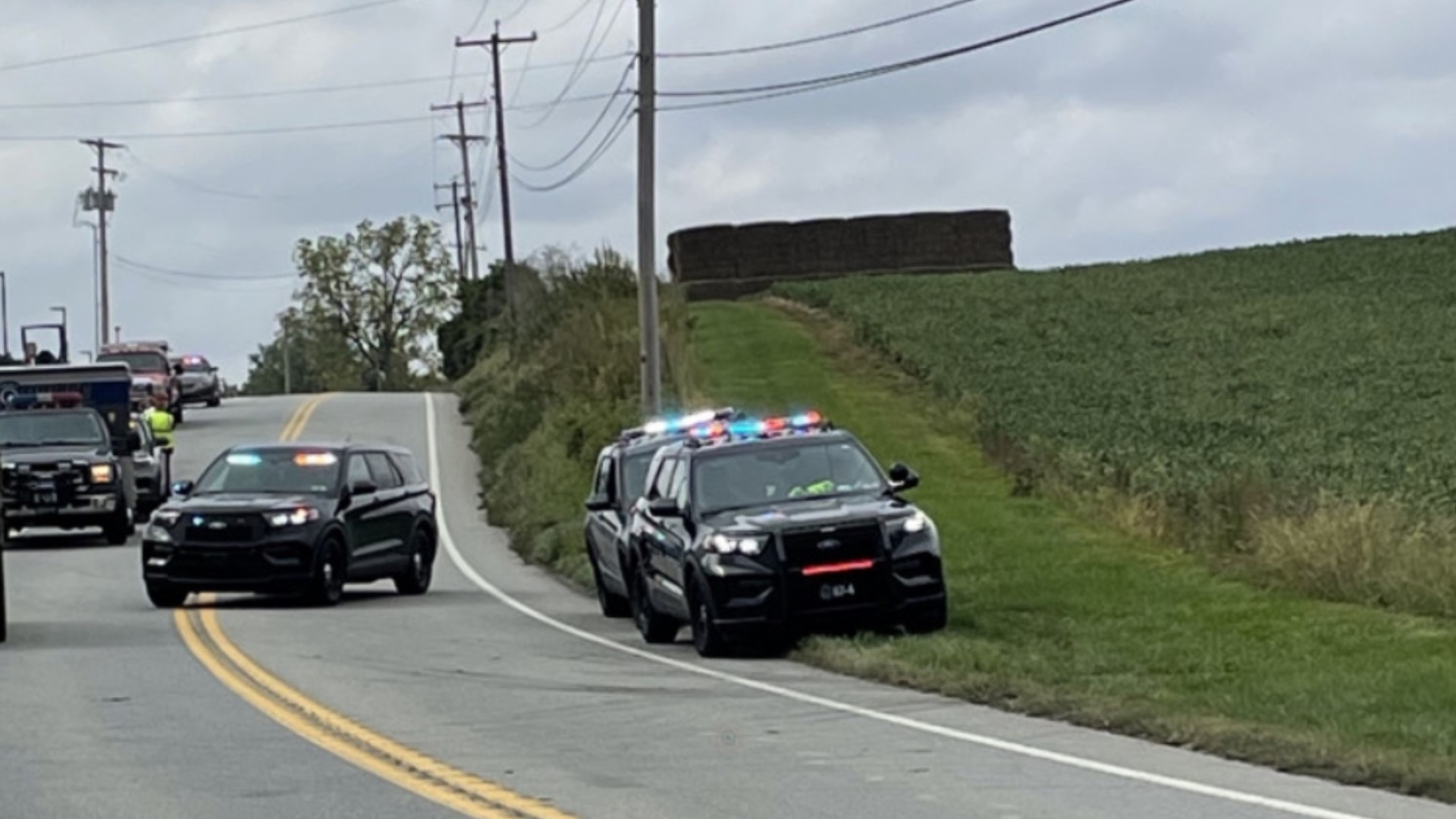 Pedestrian struck in York County