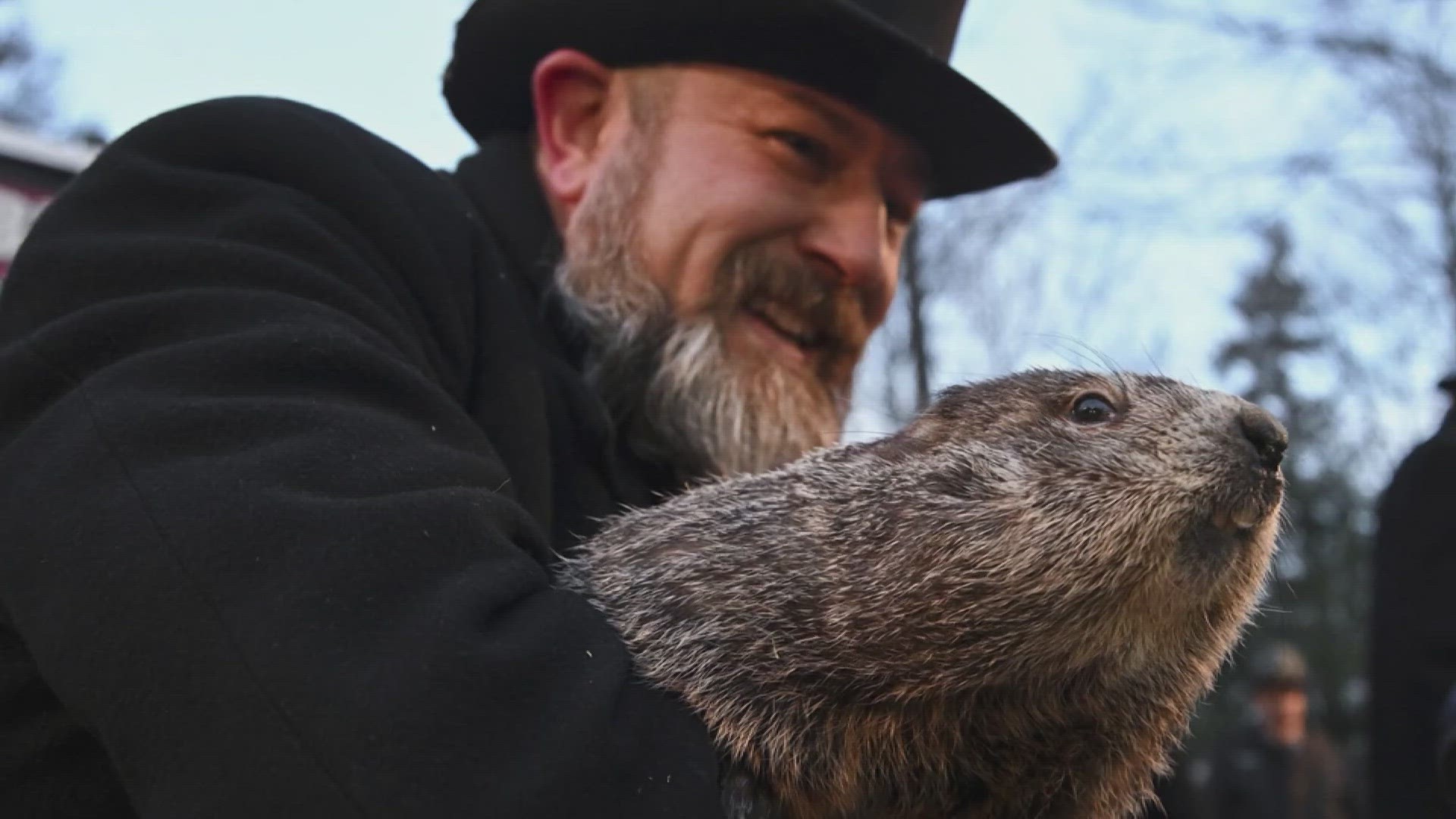 Groundhog Day 2024 Punxsutawney Phil doesn’t see his shadow, now an