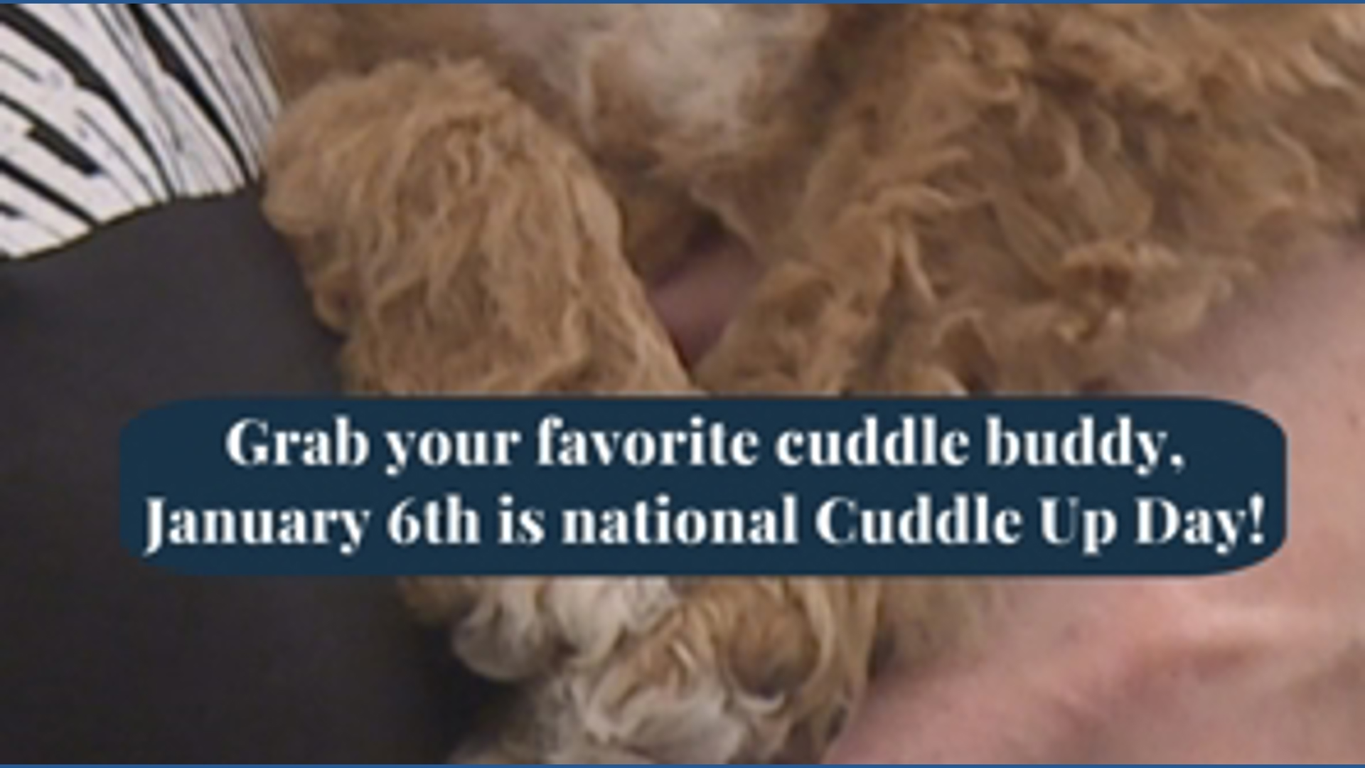 Grab your favorite cuddle buddy, it's national Cuddle Up Day! | fox43.com