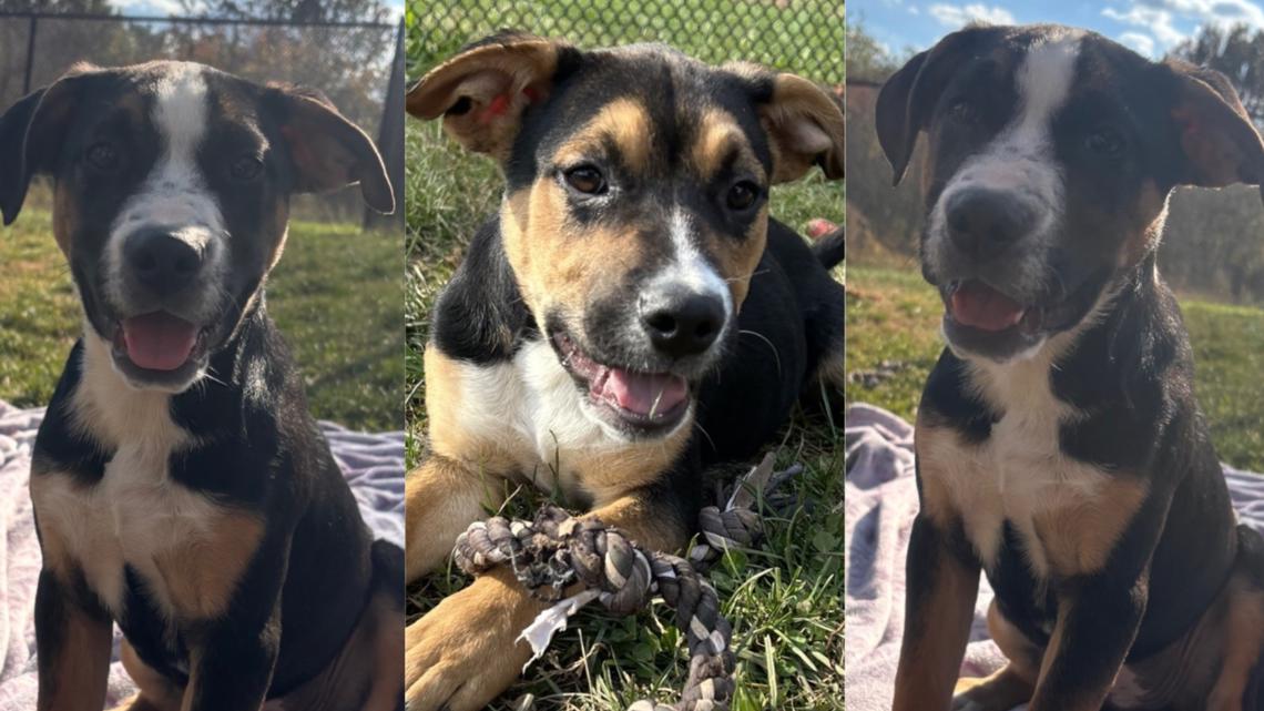 f443b809 f6e9 4dce b0f2