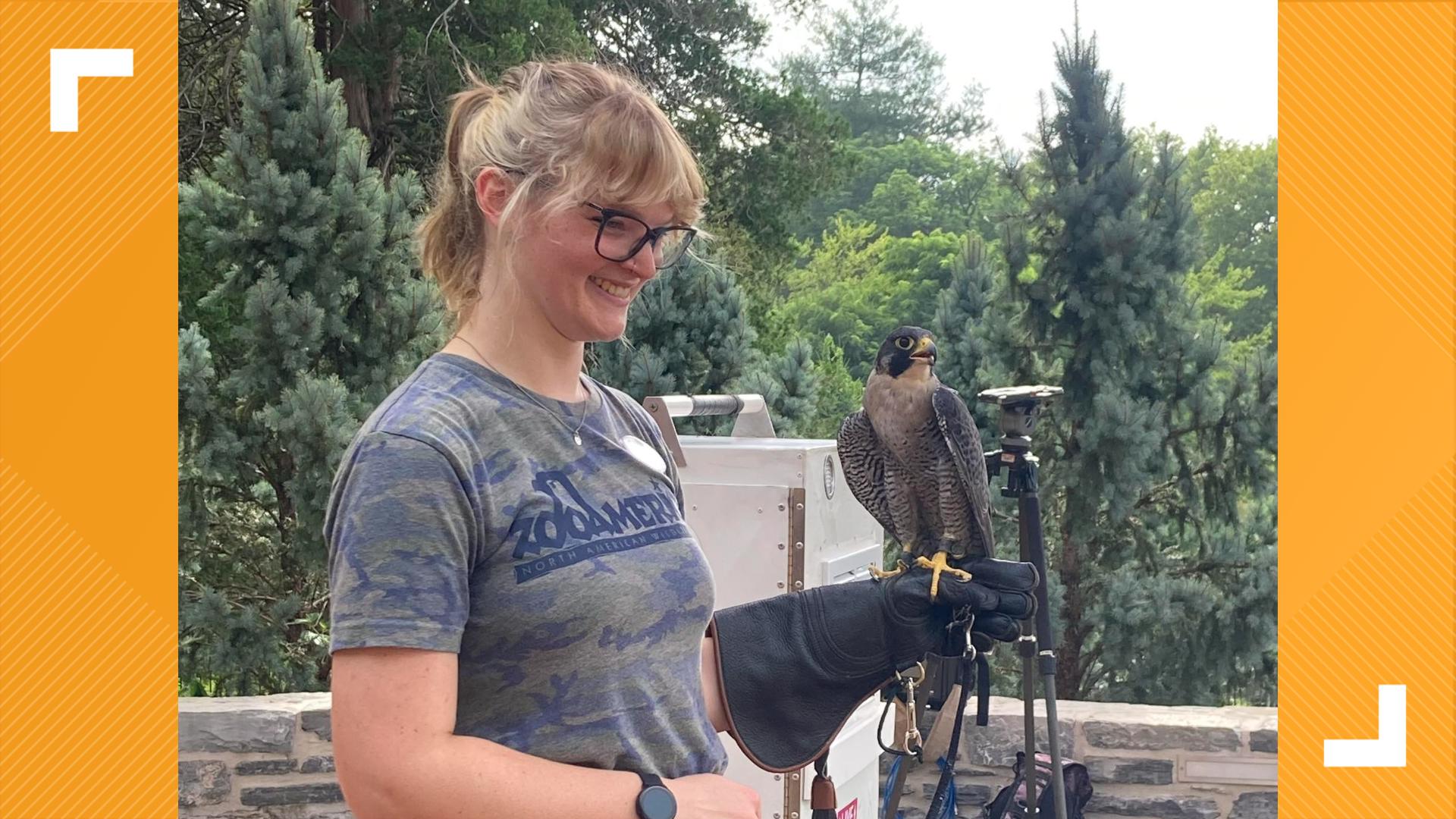 Hershey Gardens is hosting their event series "Marvelous Mondays," through August 4