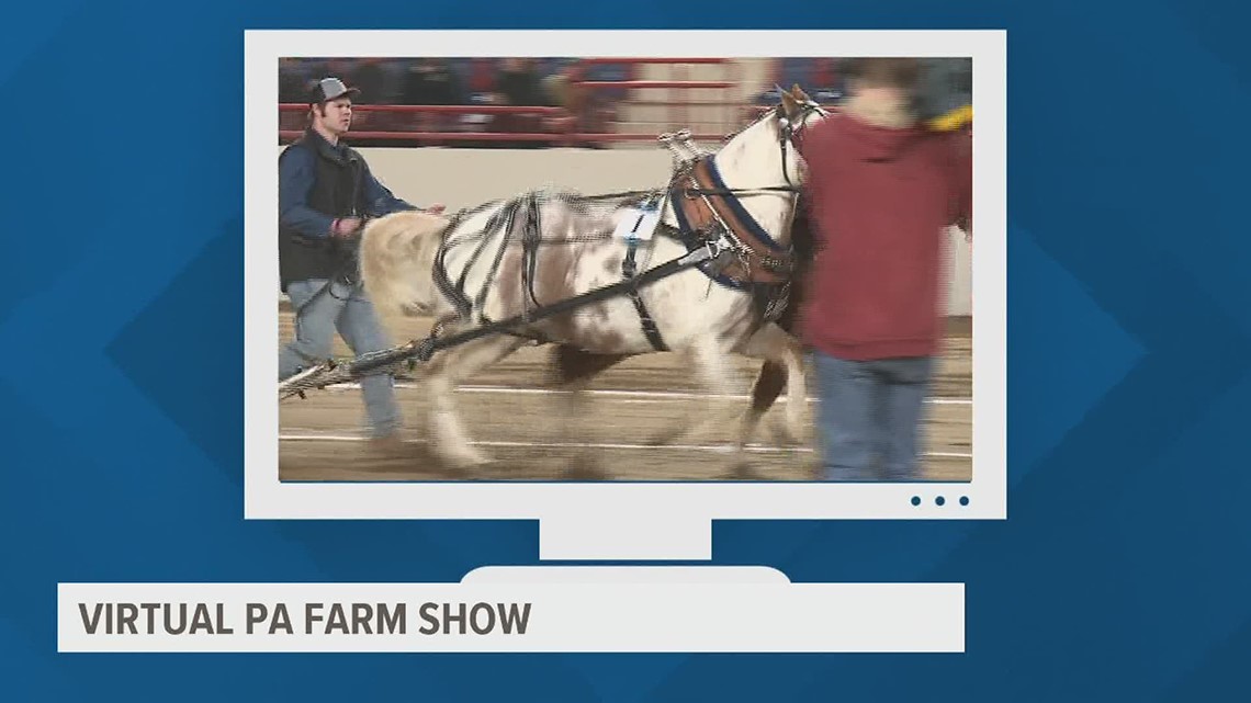 Secretary of agriculture highlights ways to experience the 2021 virtual Pennsylvania farm show - Vimarsana News