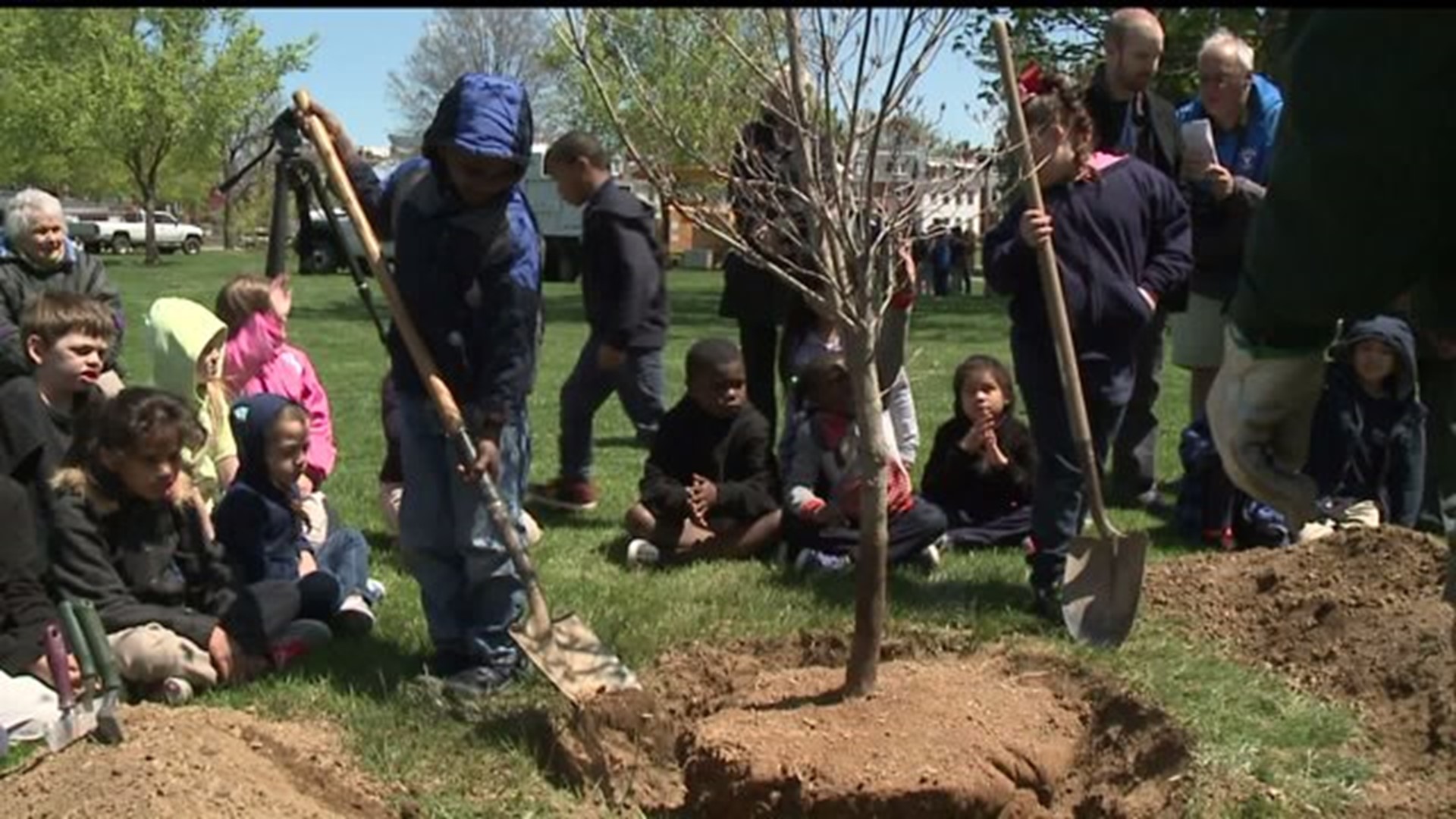 York City celebrates Arbor Day