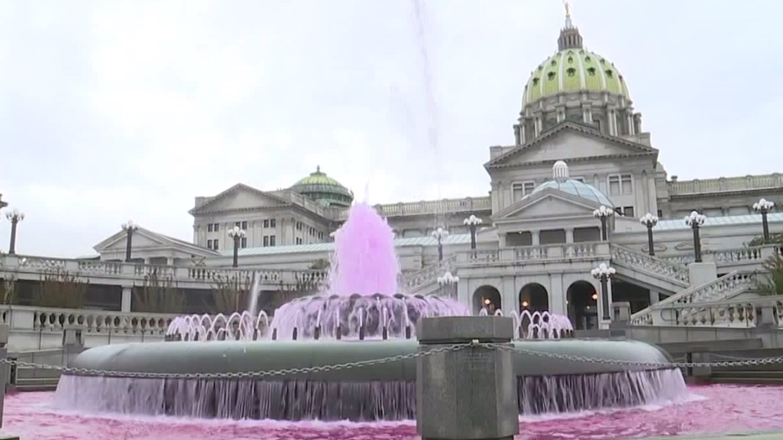 Pa. Breast Cancer Coalition kicks off Breast Cancer Awareness month with its annual pink fountain event