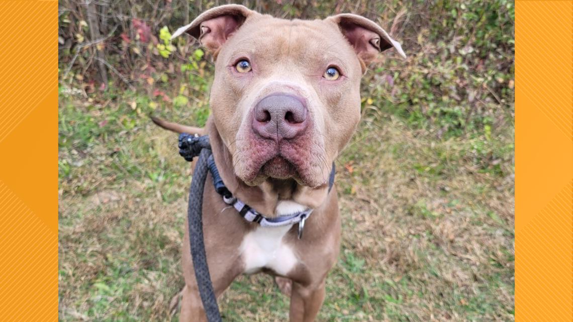 f6ad8b4e cb35 4195 8c3b