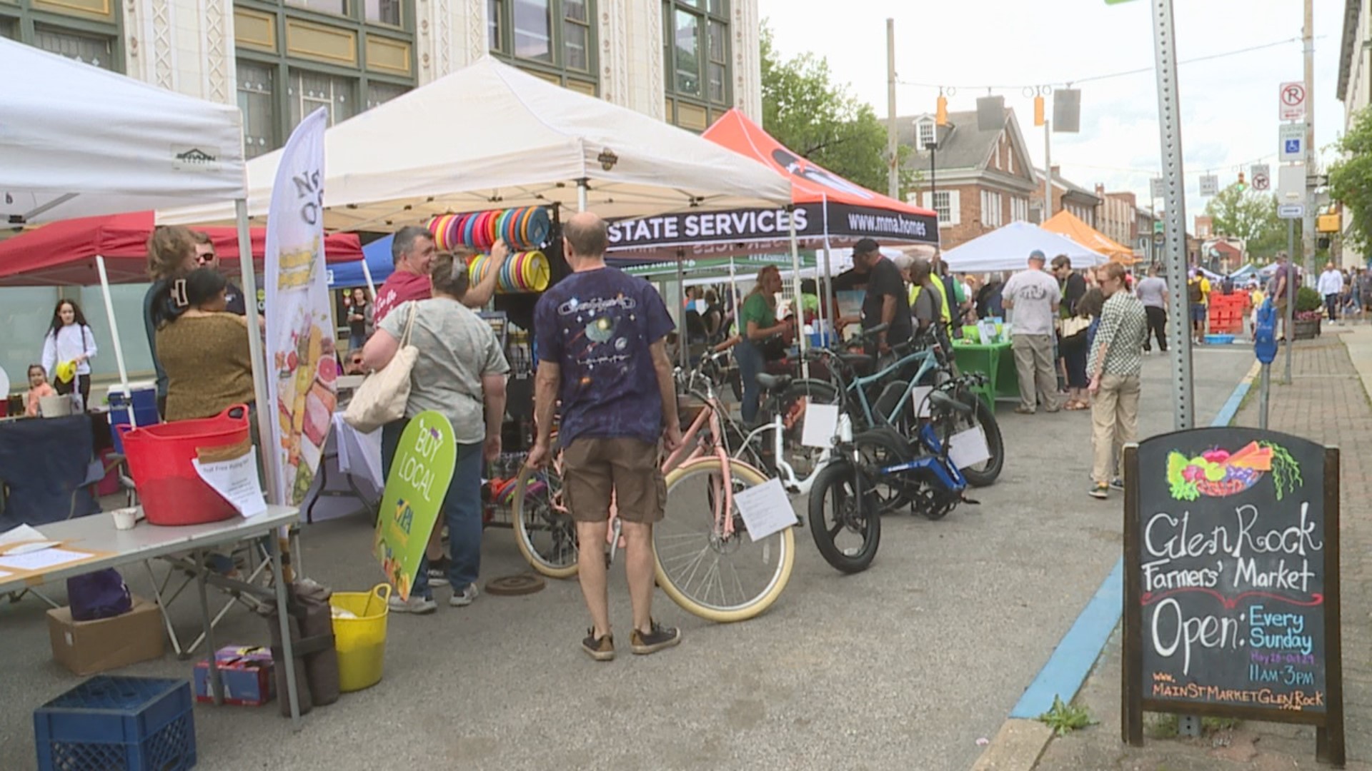 The fifteenth annual 'Go Green' returned to downtown York and hosted more than seventy vendors.