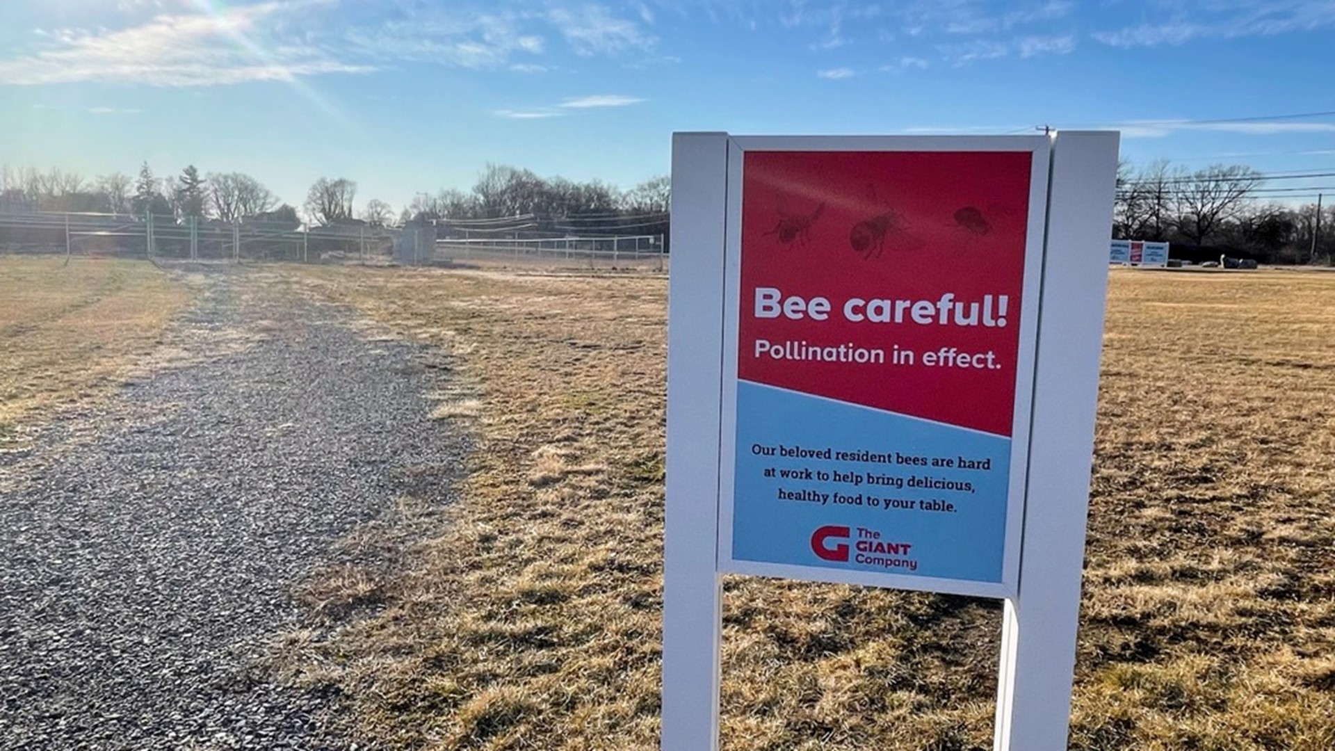 The company said the hives contained approximately 60,000 bees. It is warning Pa. beekeepers to keep an eye on their own hives and bee colonies.