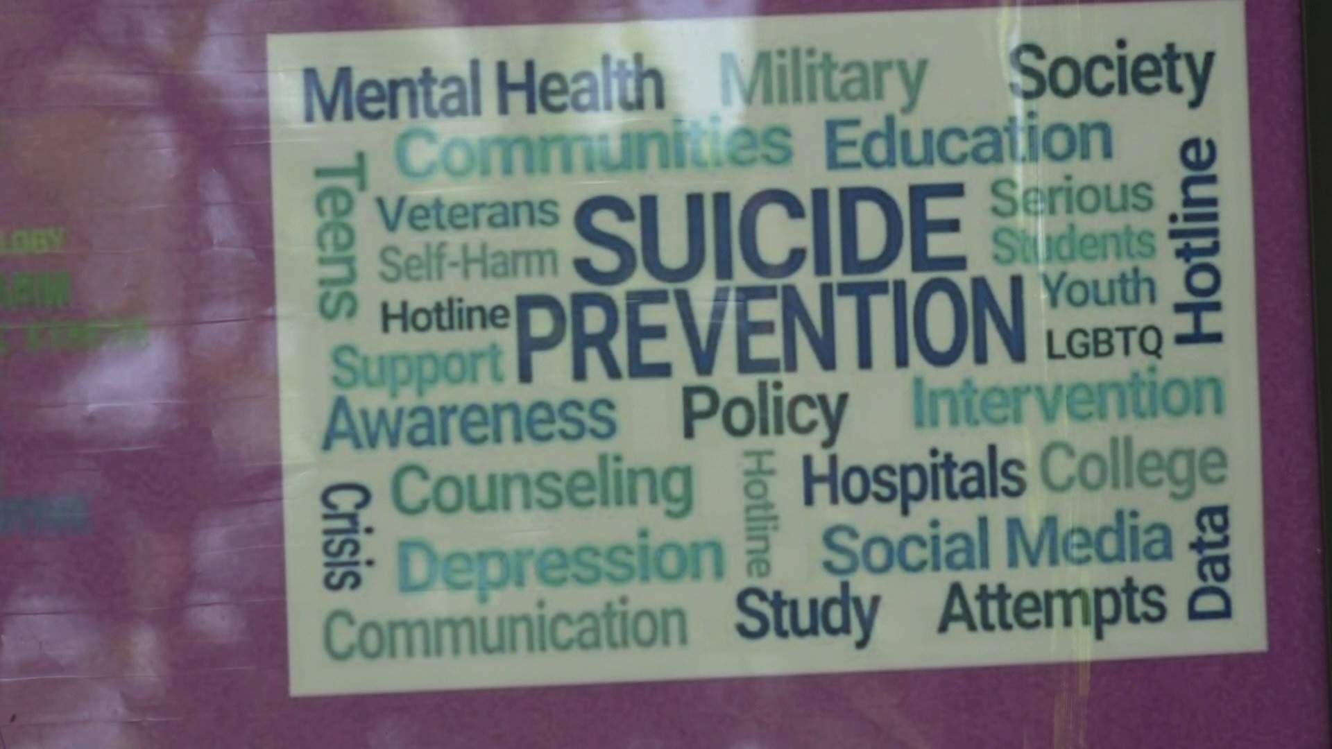 Attendees raised money for mental health advancement and had the chance to connect with suicide prevention resources.