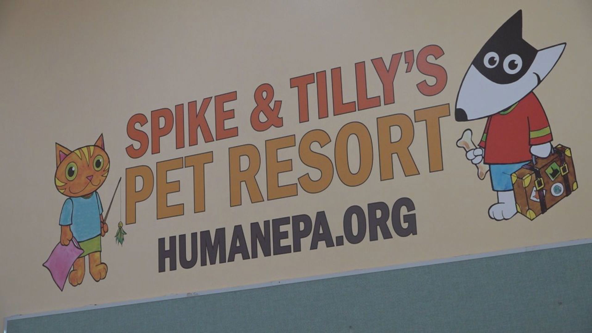 Spike & Tilly’s Pet Resort is making animal care more accessible.