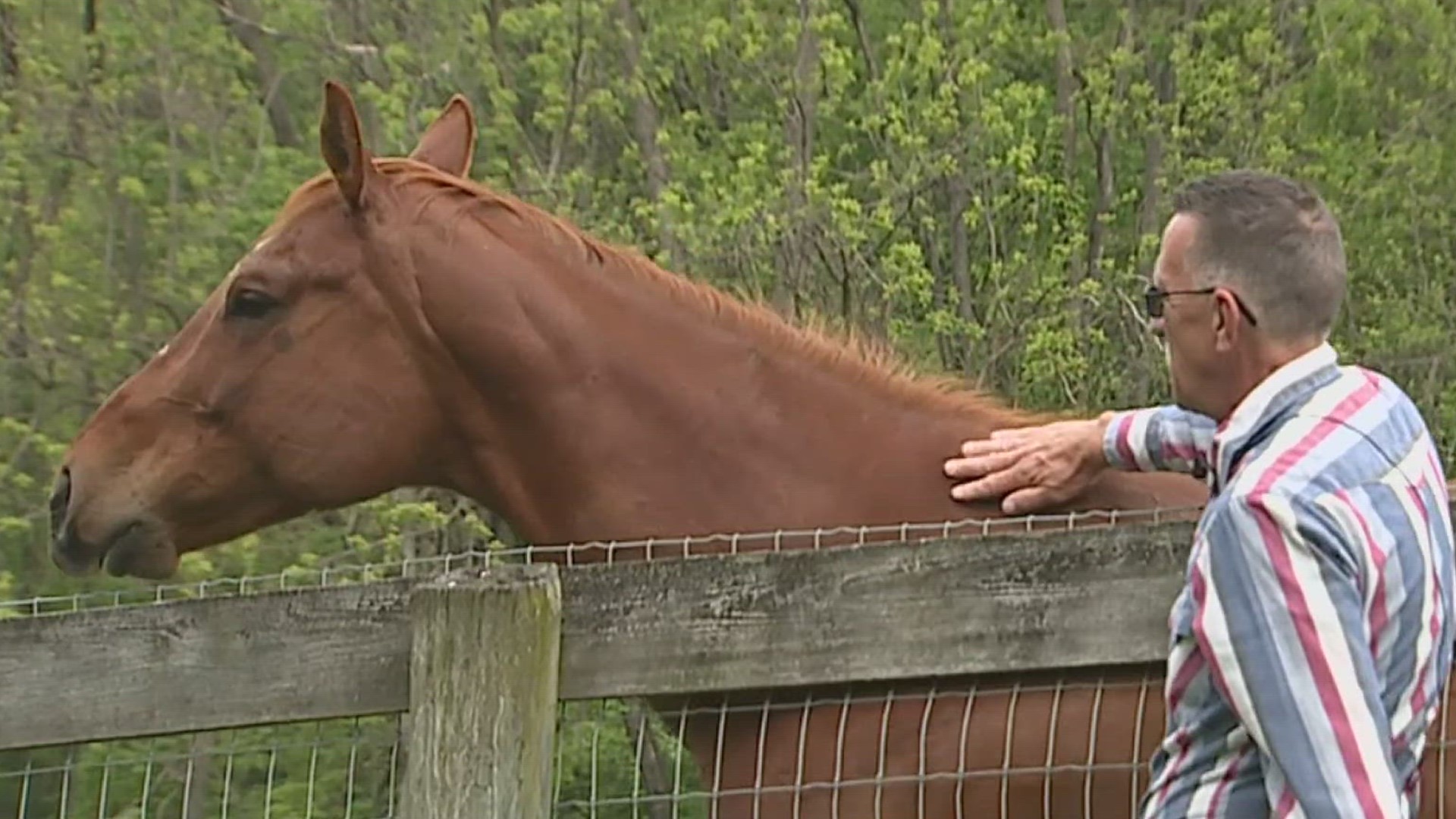 The Building Bridges Foundation is helping veterans heal through horse therapy.