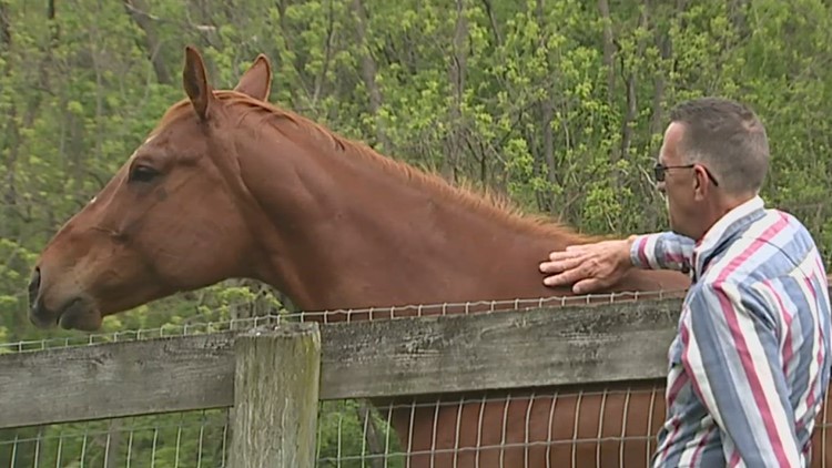 Helping veterans heal through horse therapy | On the Bright Side
