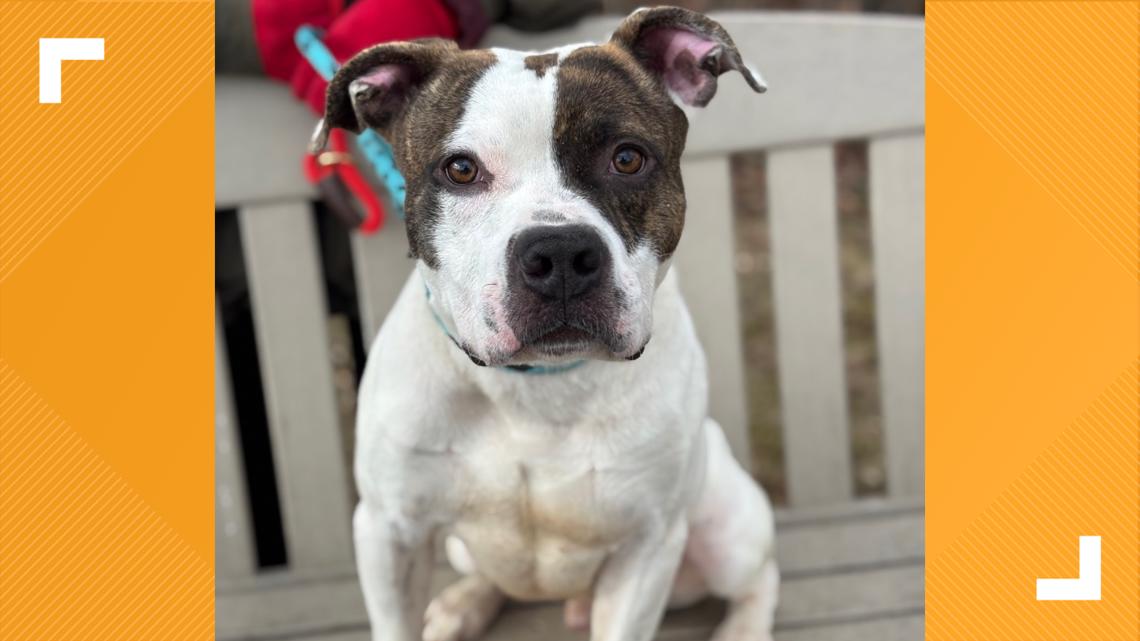 f8a9d718 1c60 4275 9c47