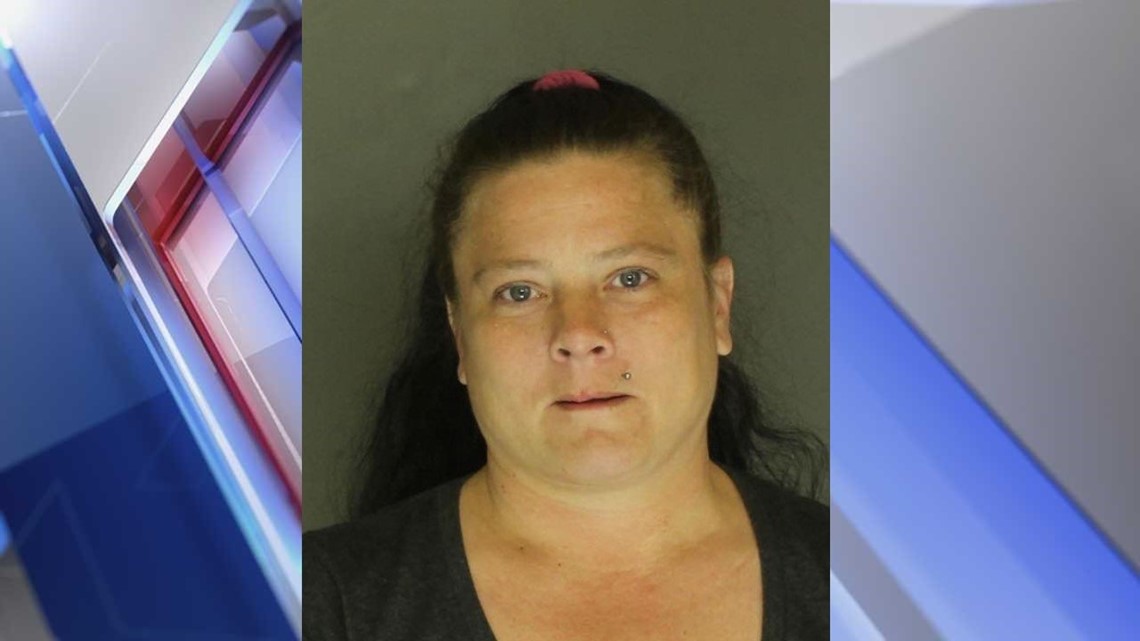 York County Woman Faces Drug Charges After Police Raid On Her Home