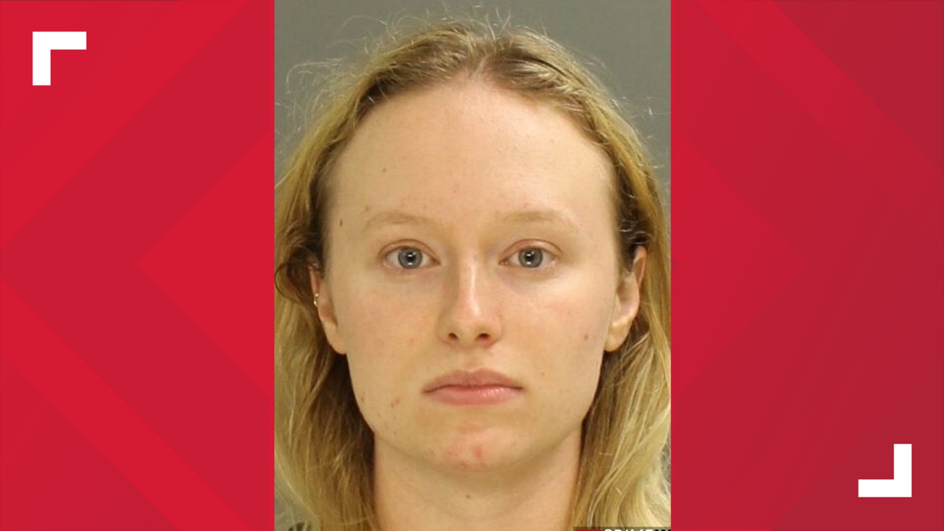 woman-pleads-guilty-to-charges-following-2020-riots-fox43