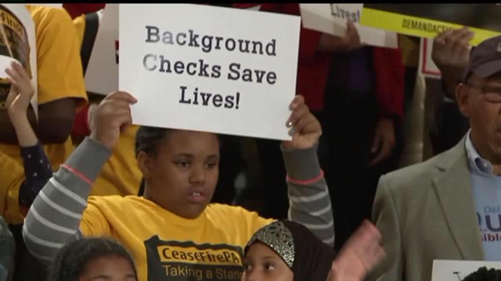 Gun background checks rally