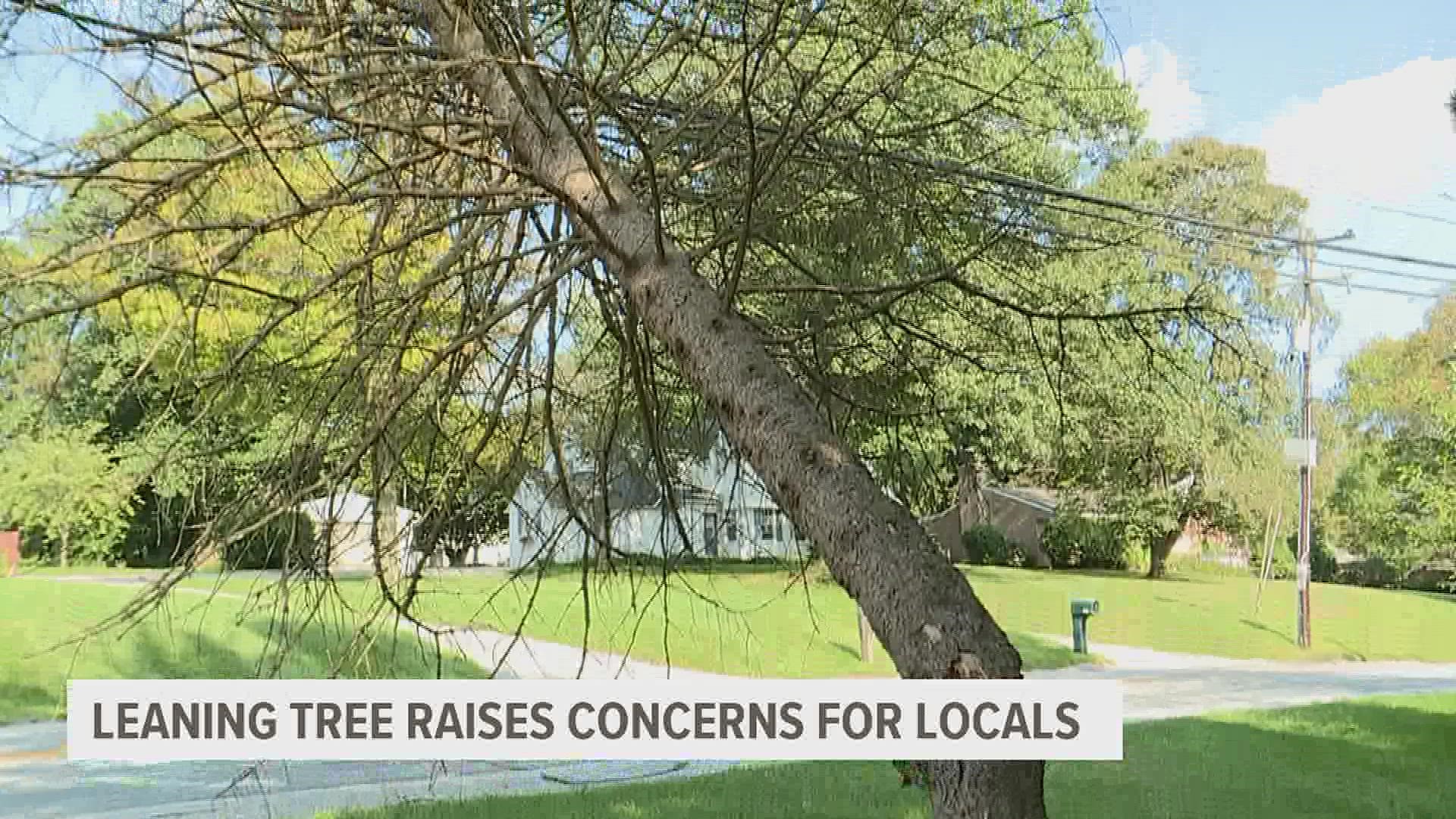 People living in a York County neighborhood say a tree had been dangerously perched on power lines near their homes for weeks.