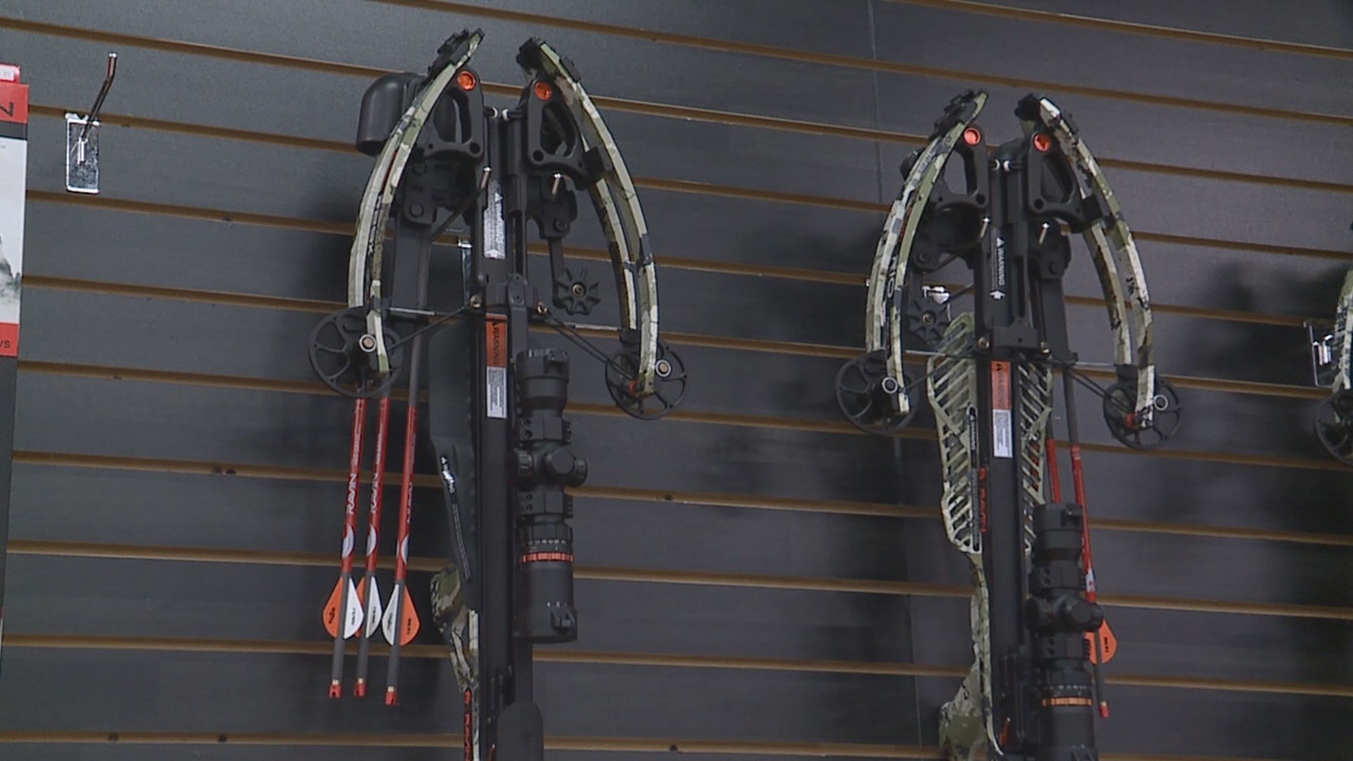 Bowhunters can expect a plentiful game this season but may have to compete with more hunters compared to last year.