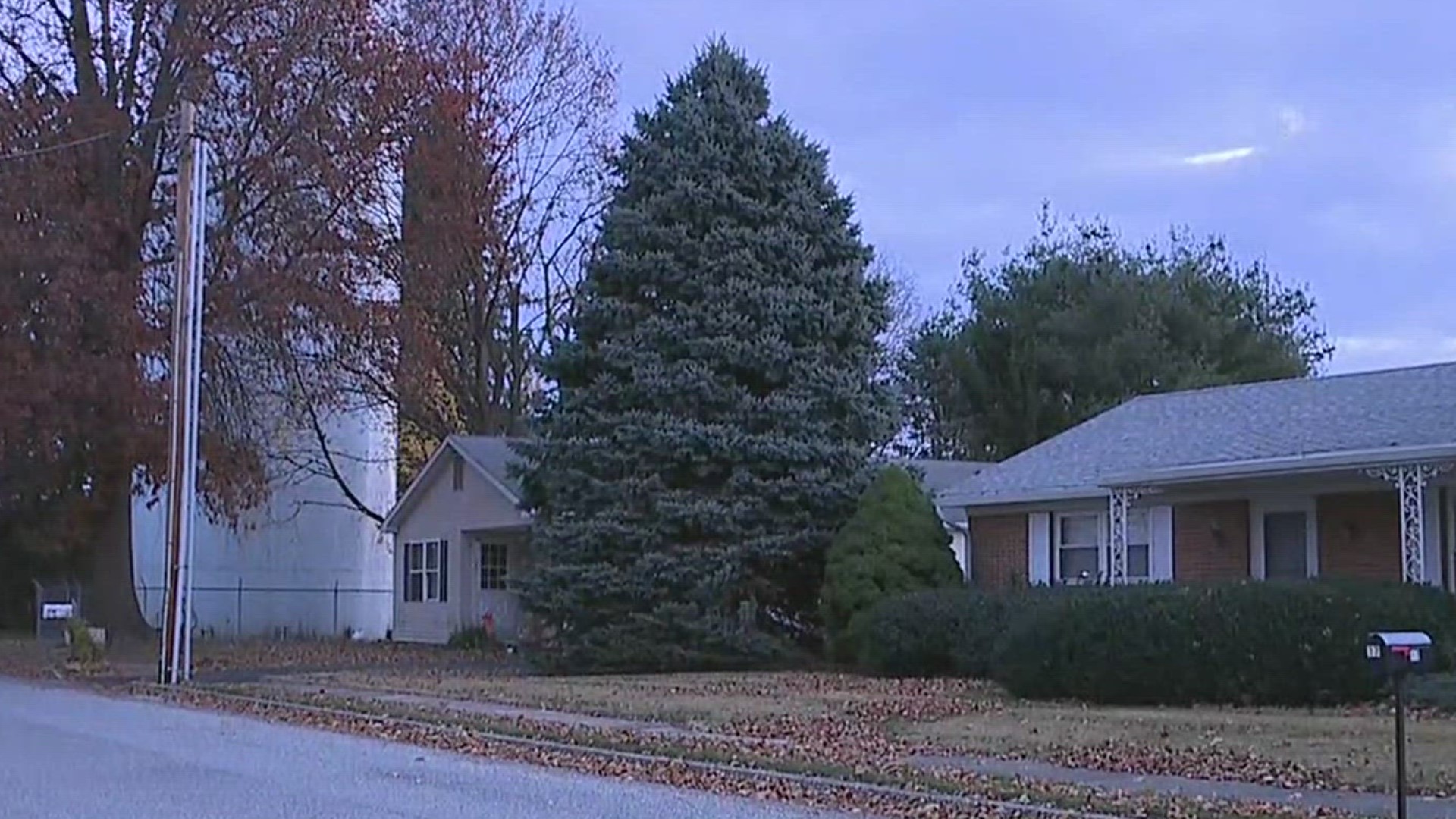 The City of York's community Christmas Tree will make its way from Dover to Continental Square in downtown York.