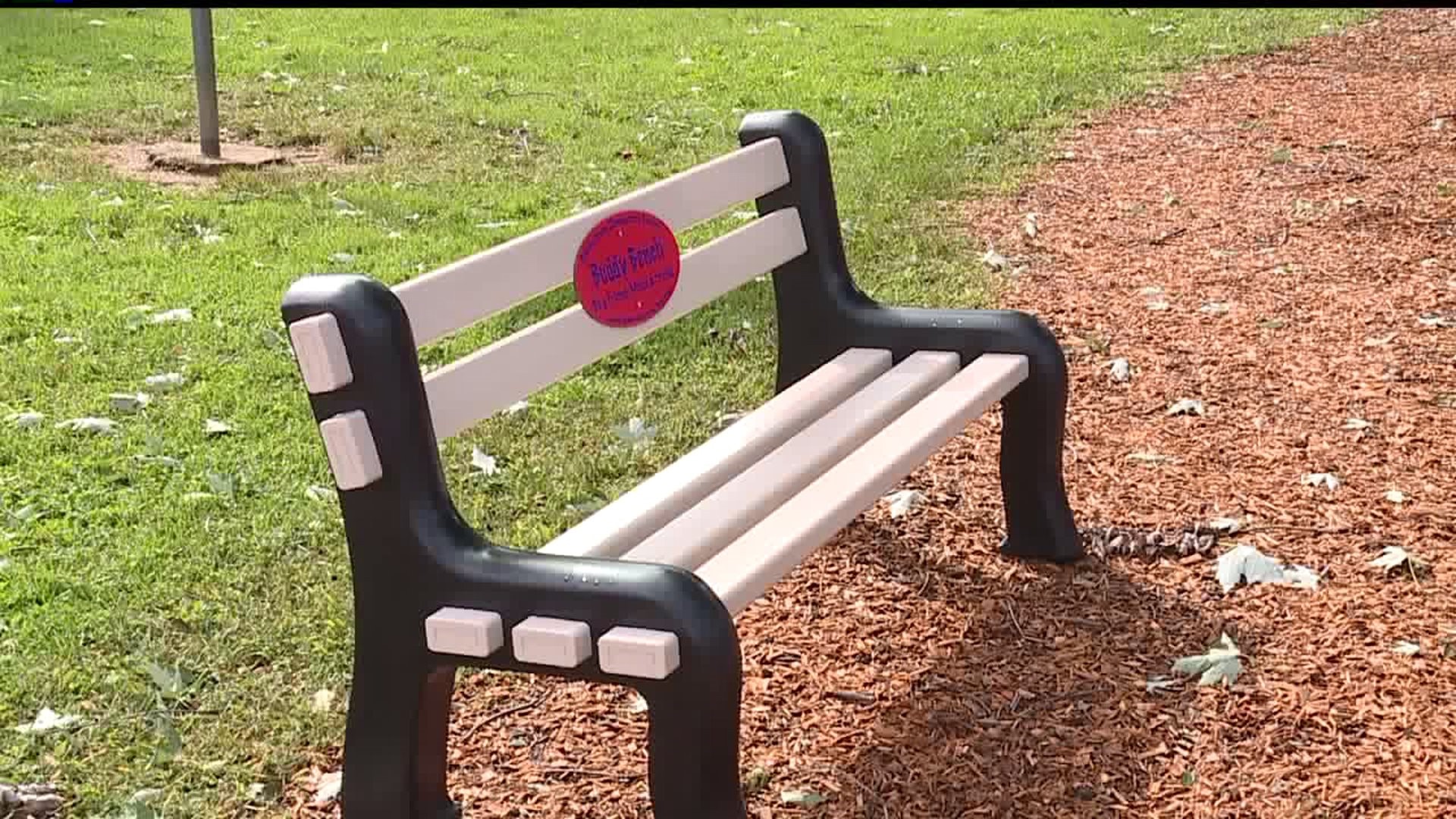 Buddy bench installed at local elementary school