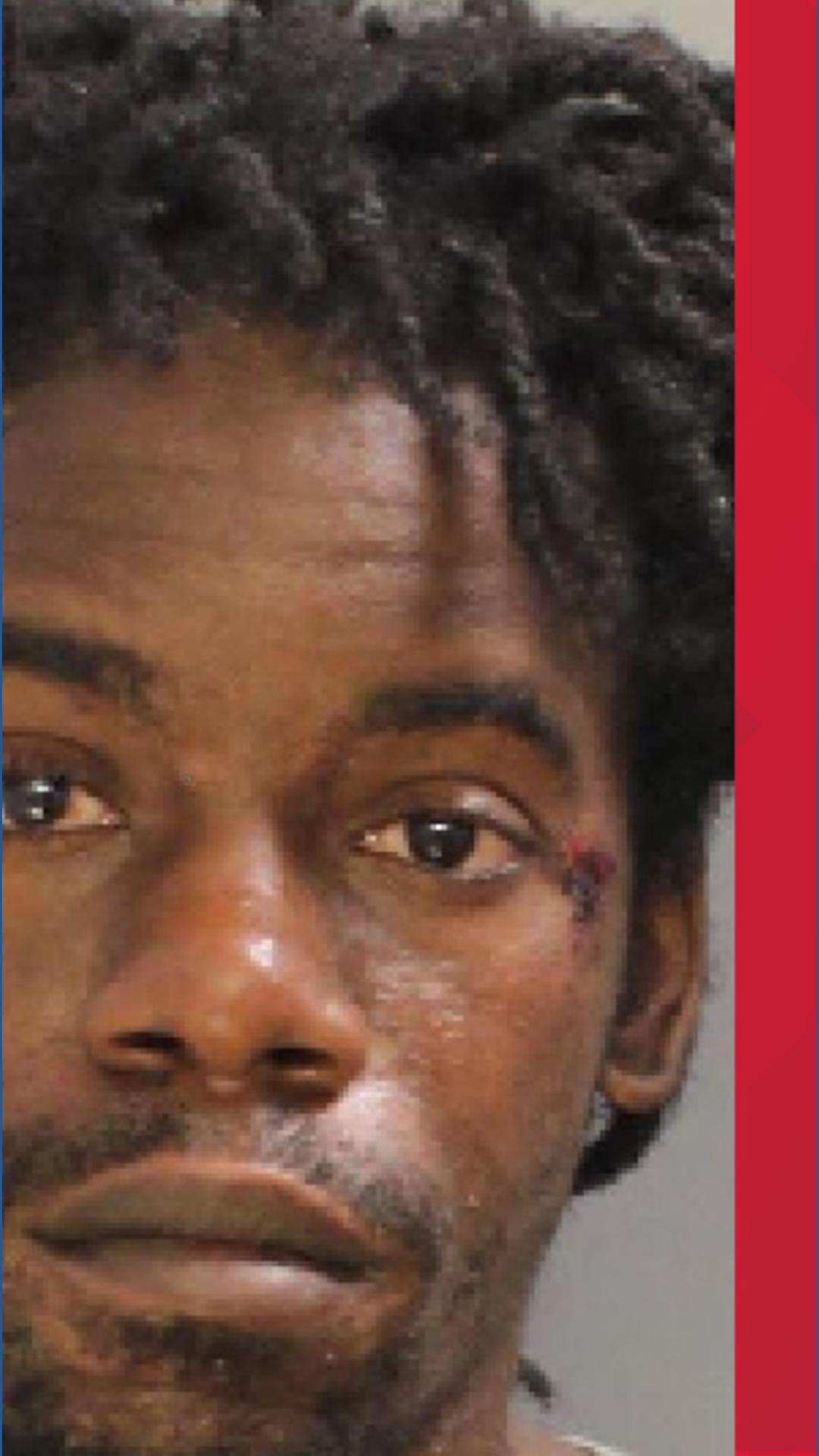 York County police arrest man after alleged chase after incident with ...