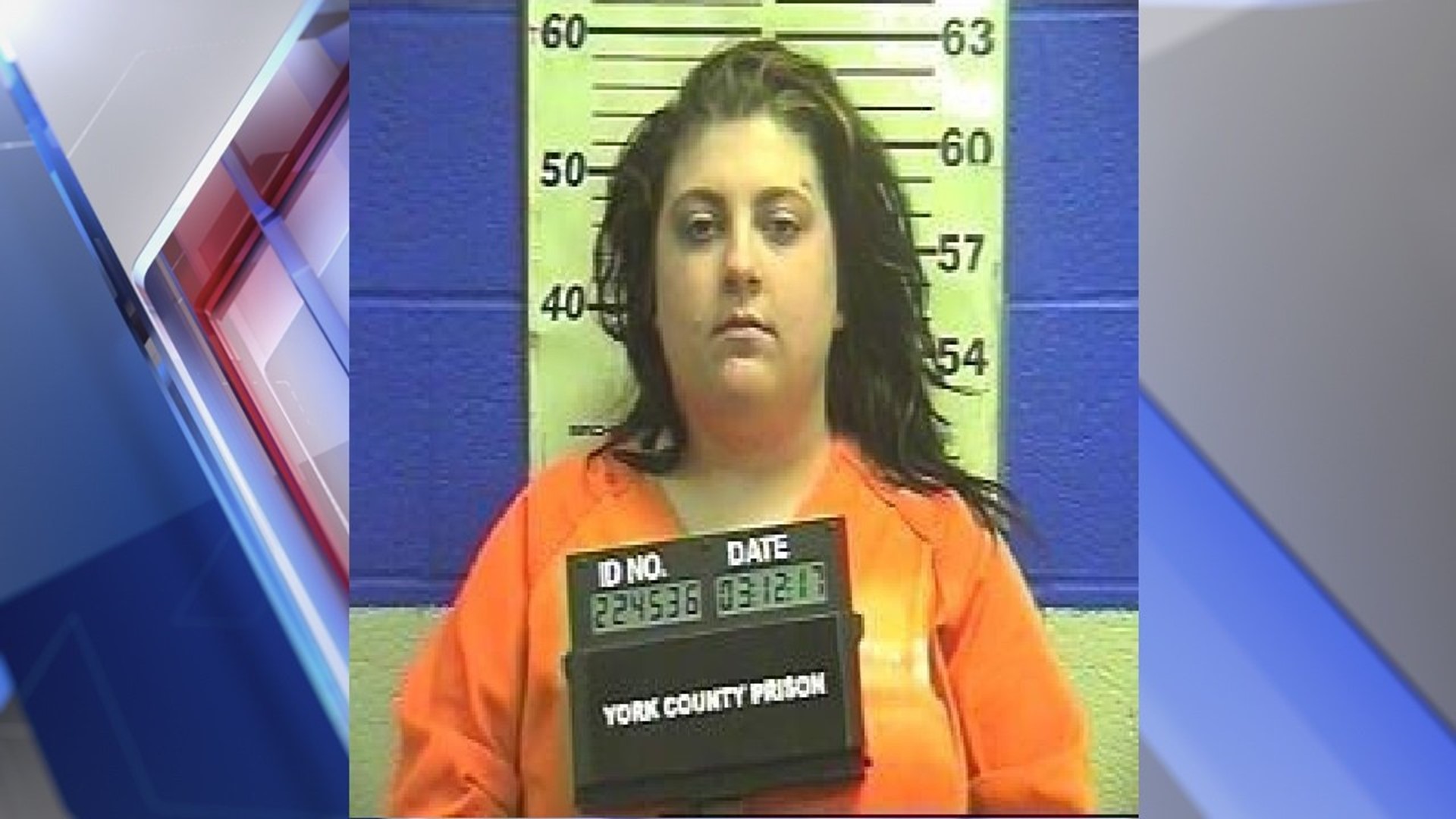 Dover woman facing charges after hit-and-run, striking arresting ...
