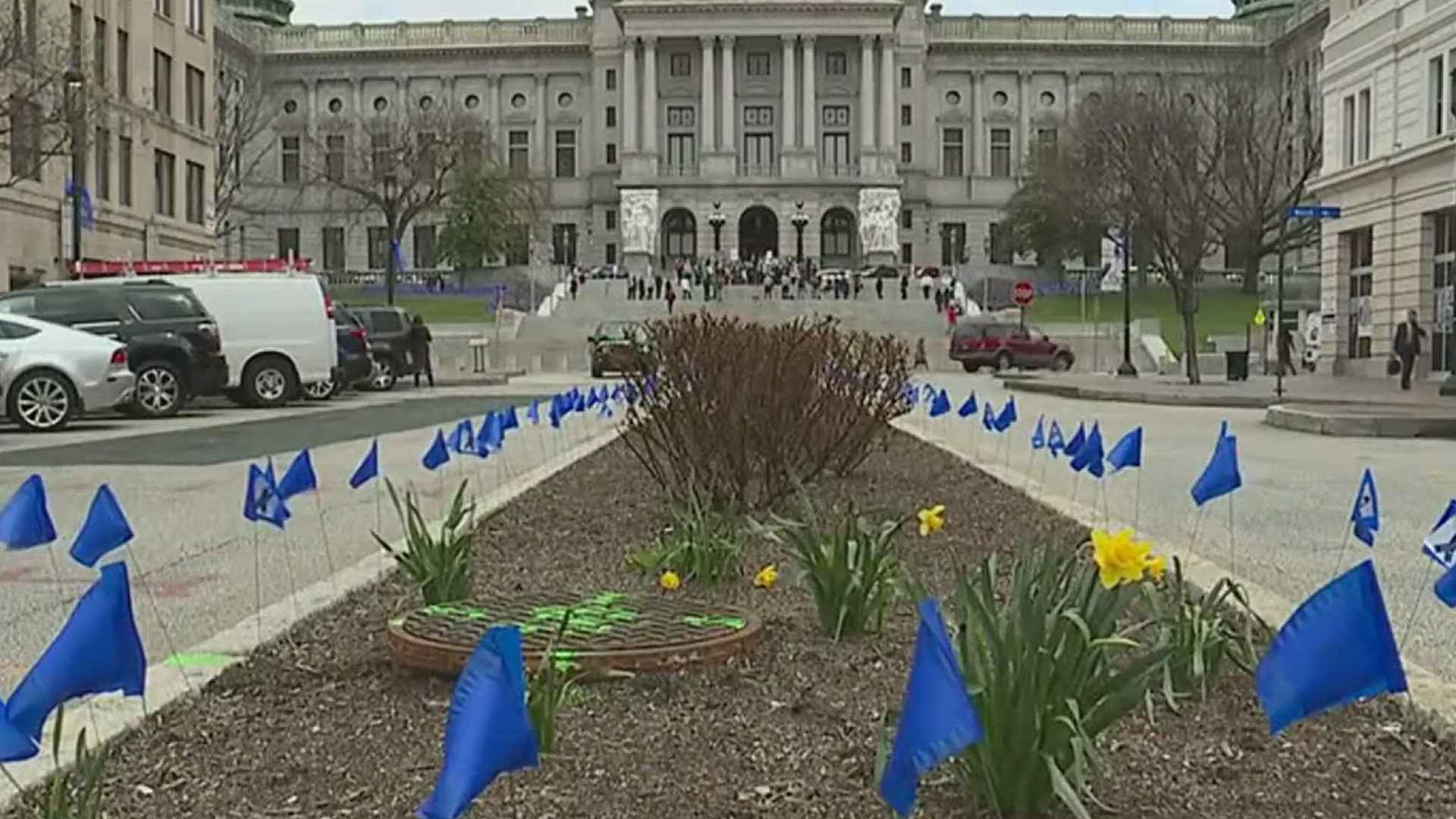 Around 5,036 blue flags will be planted on State and Third Streets in Harrisburg, each representing a case of child abuse.