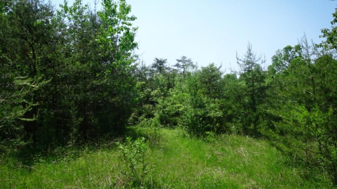 DCNR to take over nature preserve in order to maintain rare ecosystem