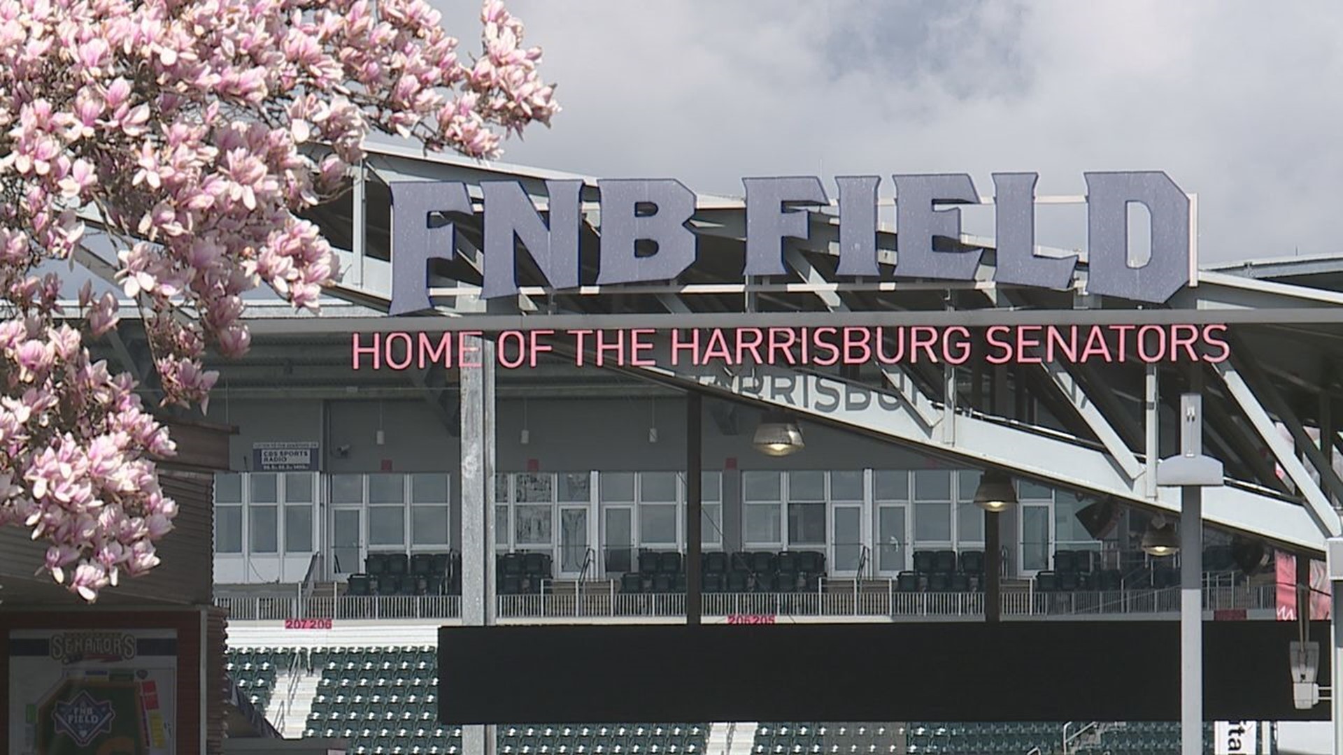 The Senators host the Erie SeaWolves on Friday night to start the 2024 season.