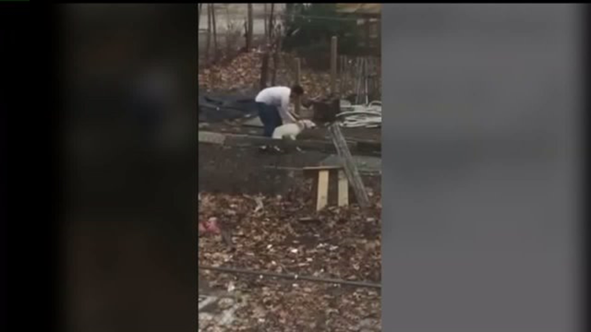 Video of dog beating prompts calls for justice from neighbors, animal rescuers