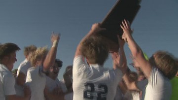 Pleasant Valley has historic year in sports