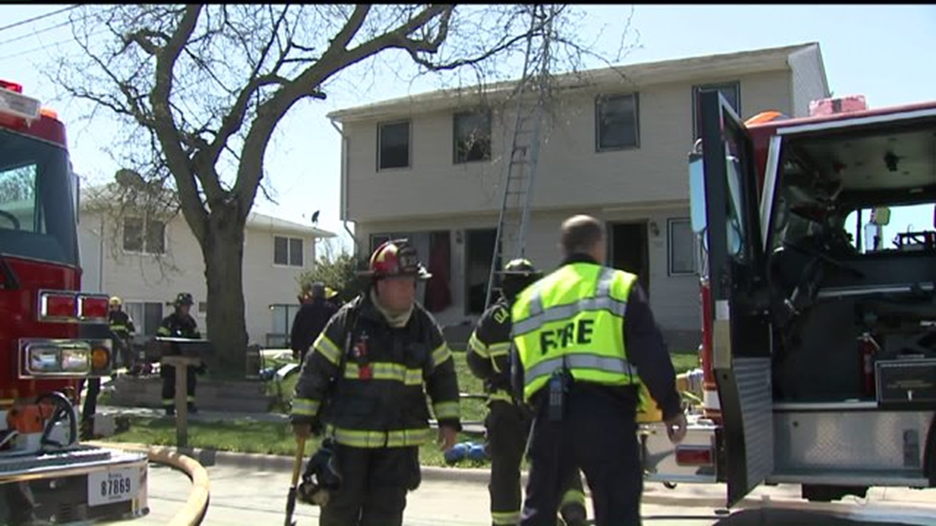 Dog rescued from Davenport duplex fire