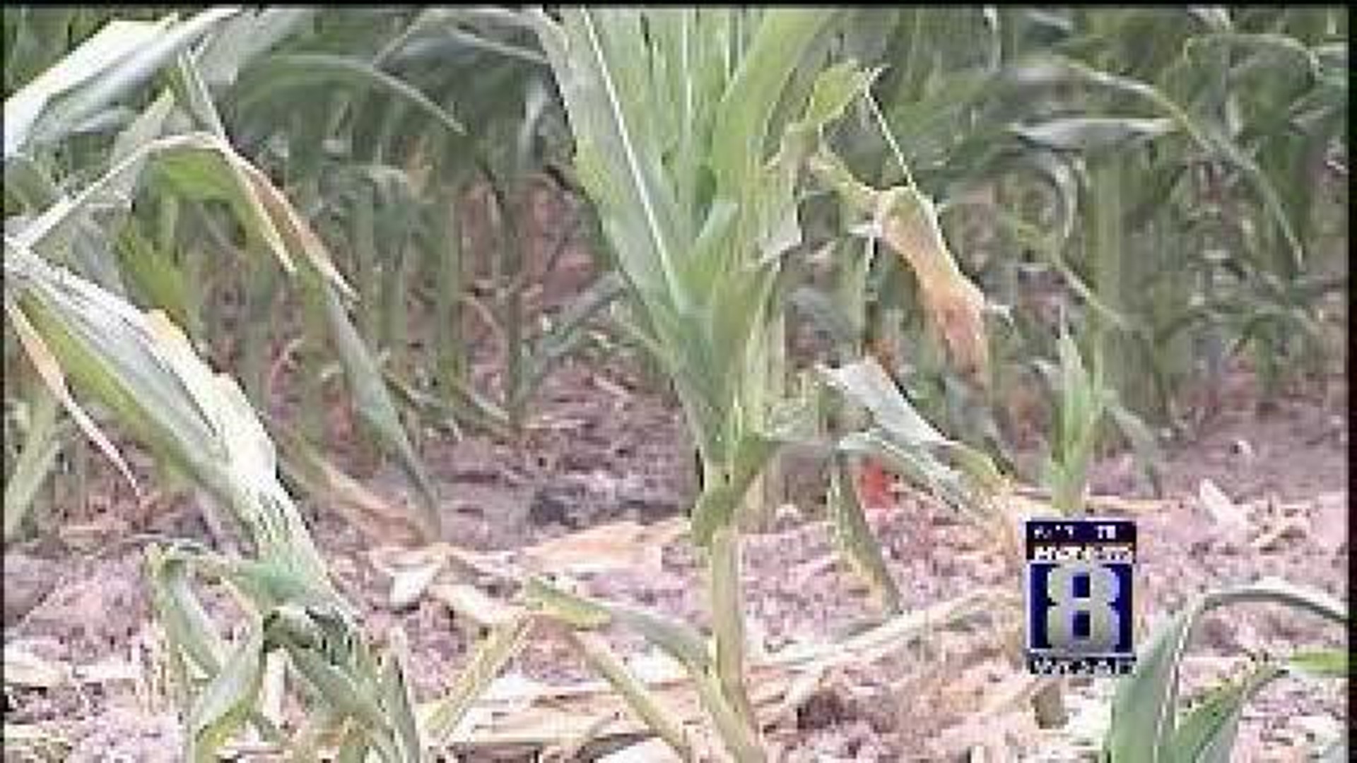 Ag in the AM: Deteriorating Farm Conditions