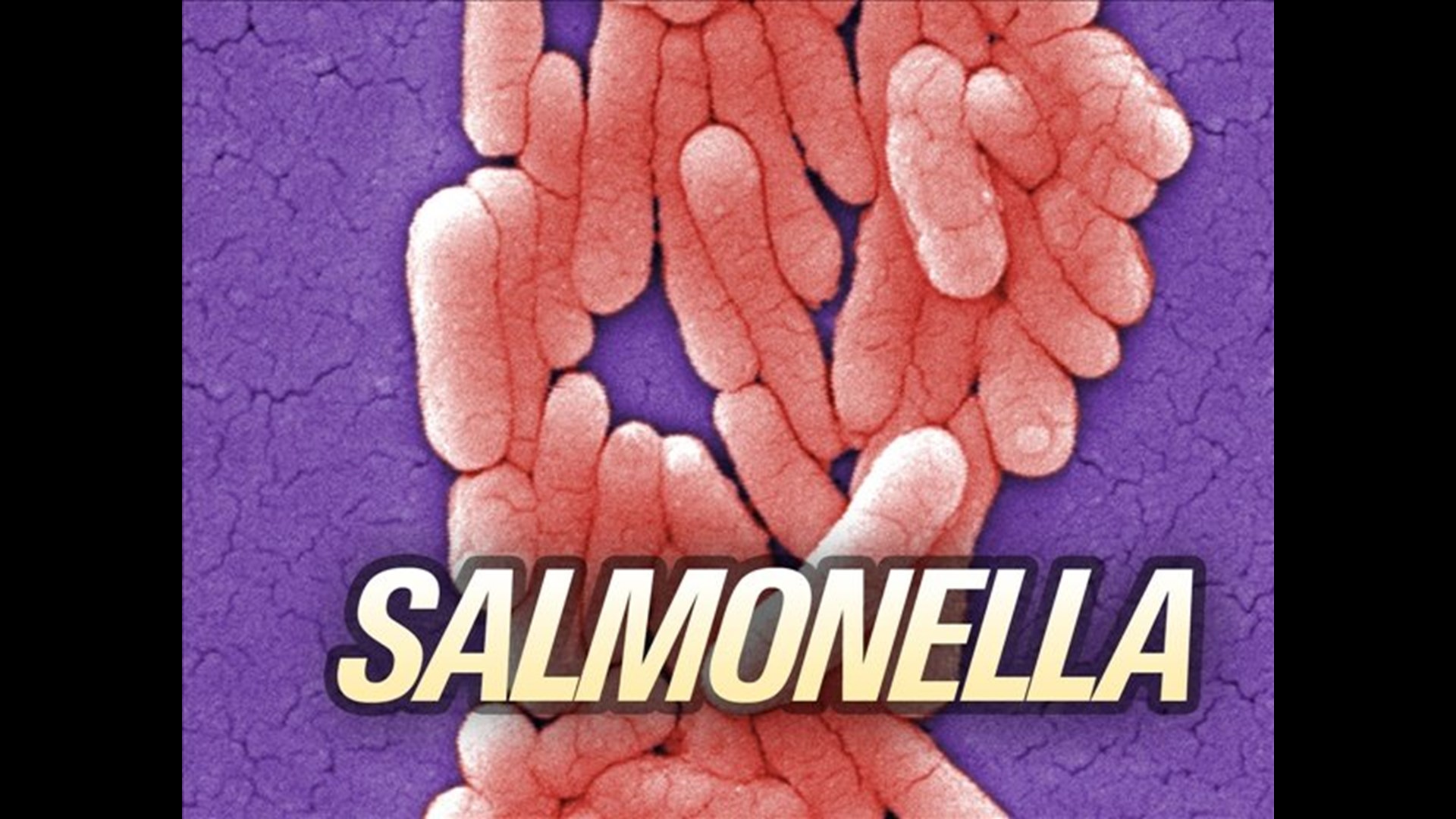 USDA calls Salmonella its ‘most pressing problem’