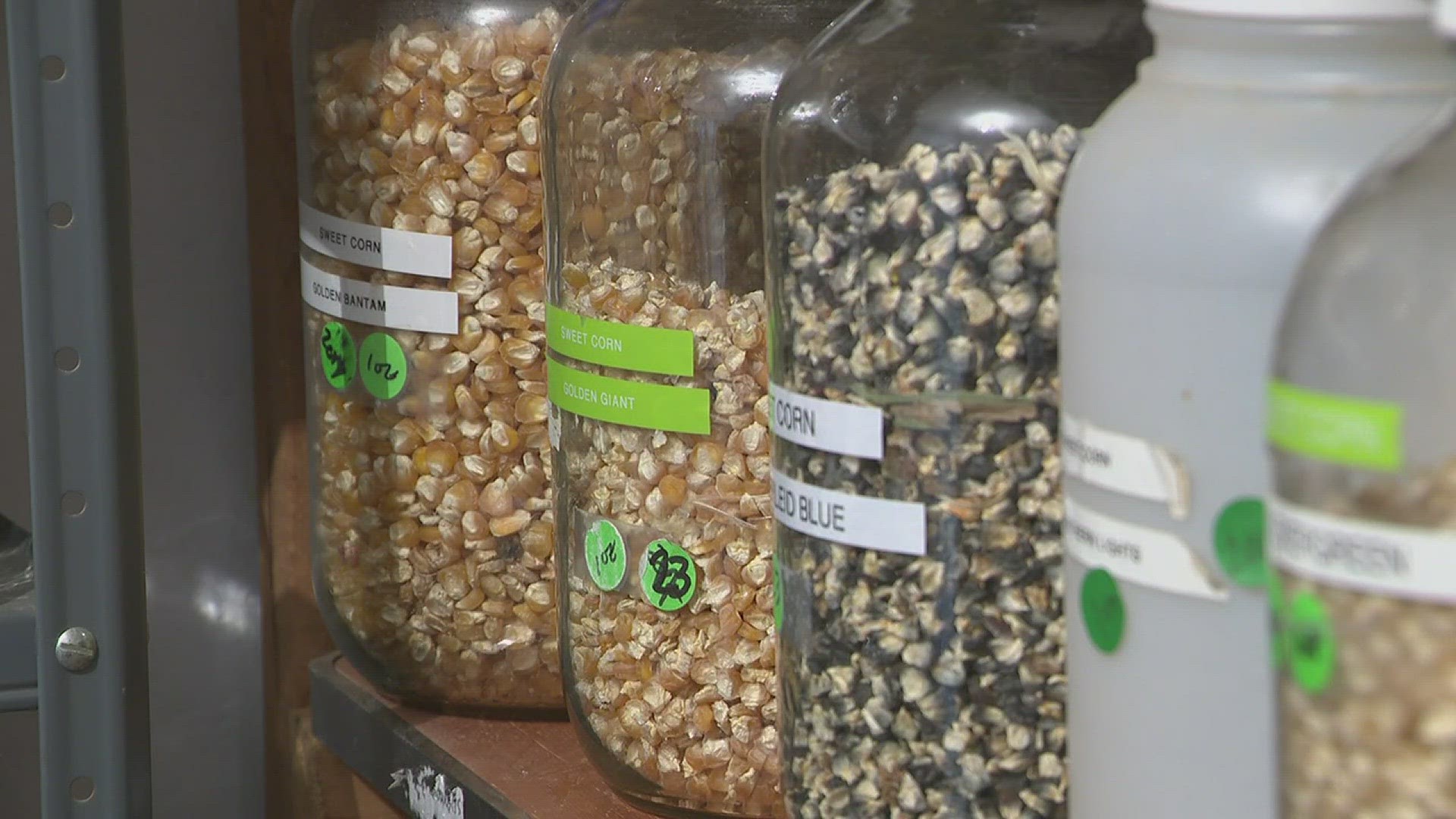 Glenn Drowns has filled nearly 3,000 jars with all sorts of seeds from around the country.