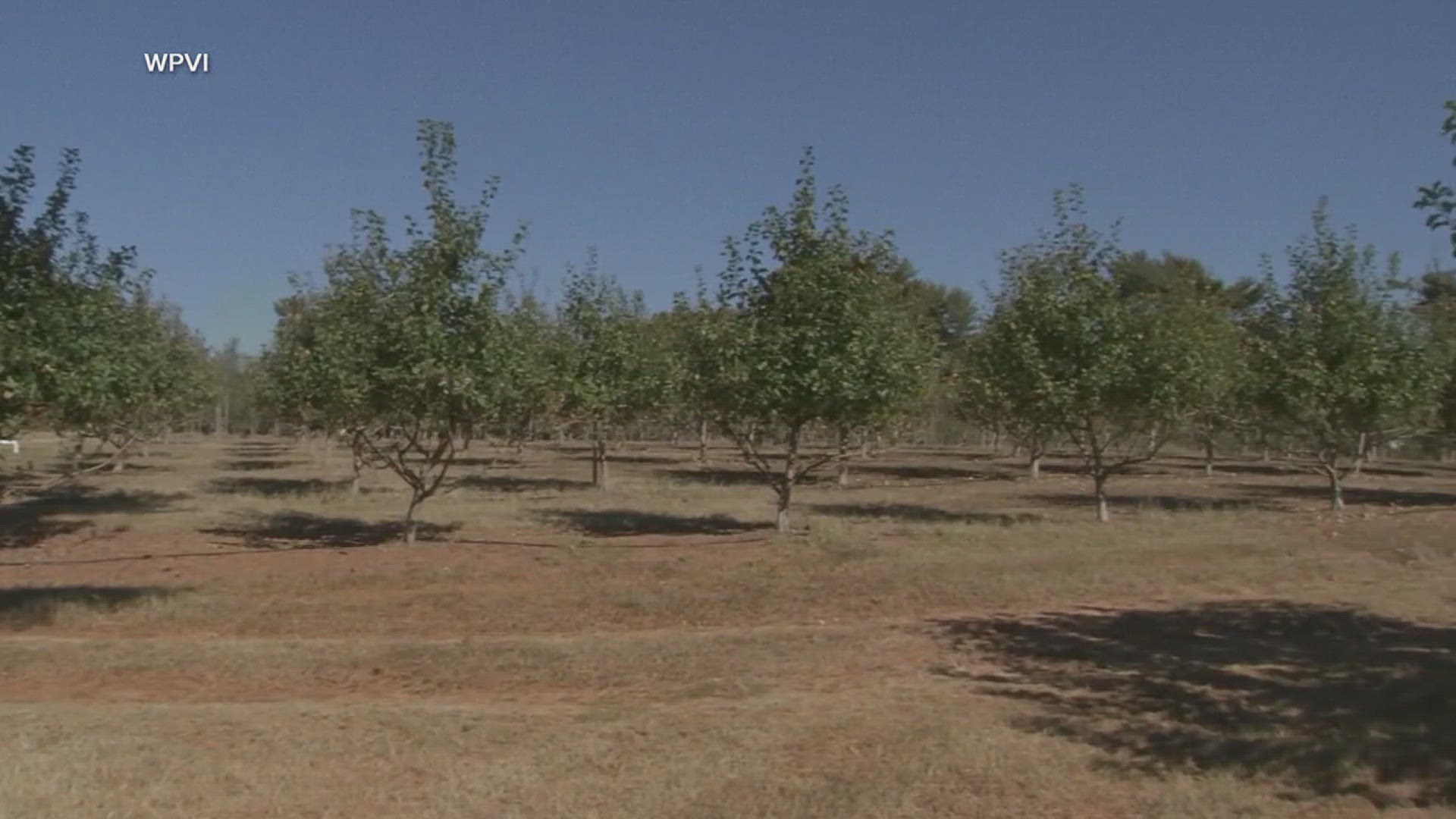 Places like Minneapolis, Austin, Los Angeles and Philadelphia are seeing their driest autumns on record.