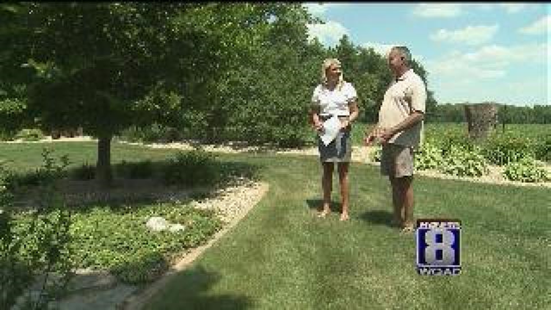 Geneseo man with knee replacement gets back to his garden