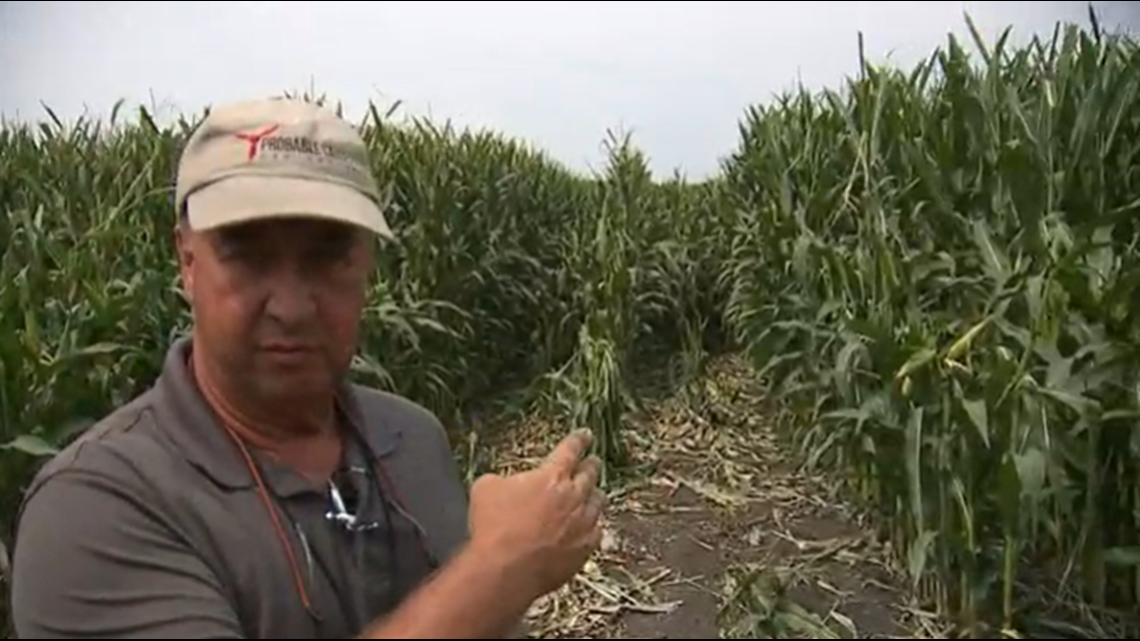 Pilot of crashed Whiteside COunty plane talks with WQAD - Vimarsana News