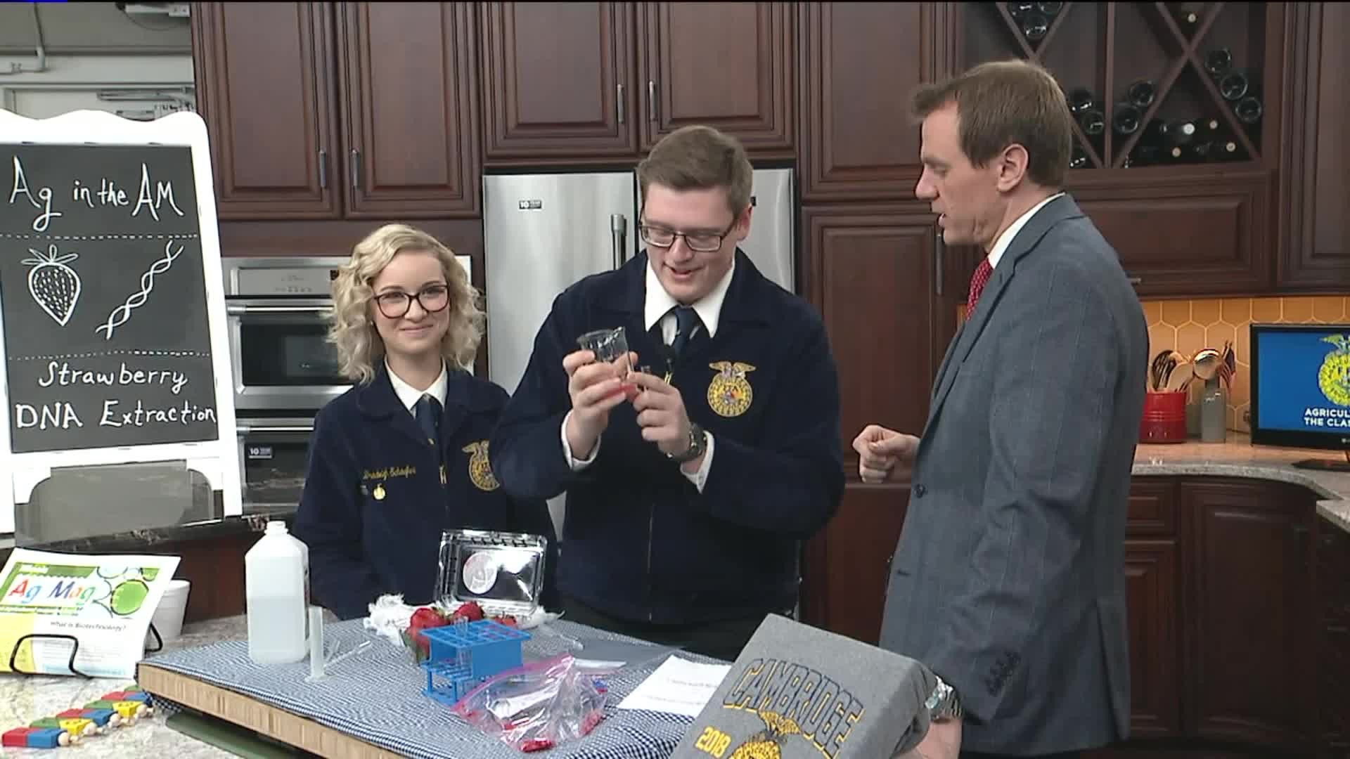 Ag in the Classroom: Extracting DNA from Strawberries