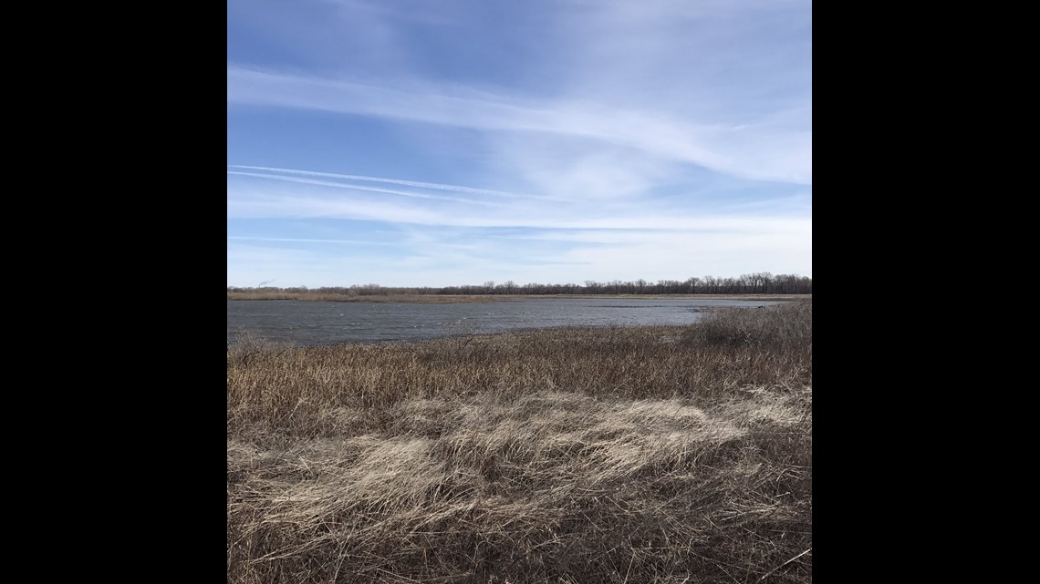 Lake Odessa restoration creates habitat for Iowa wildlife