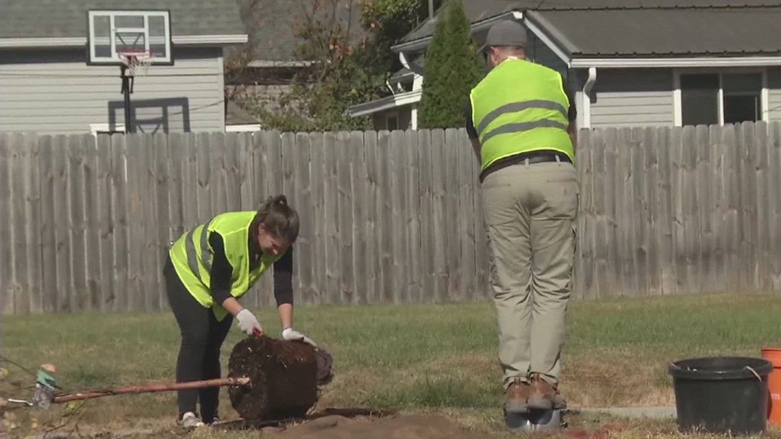 Volunteers working around the clock to restore downed trees in central