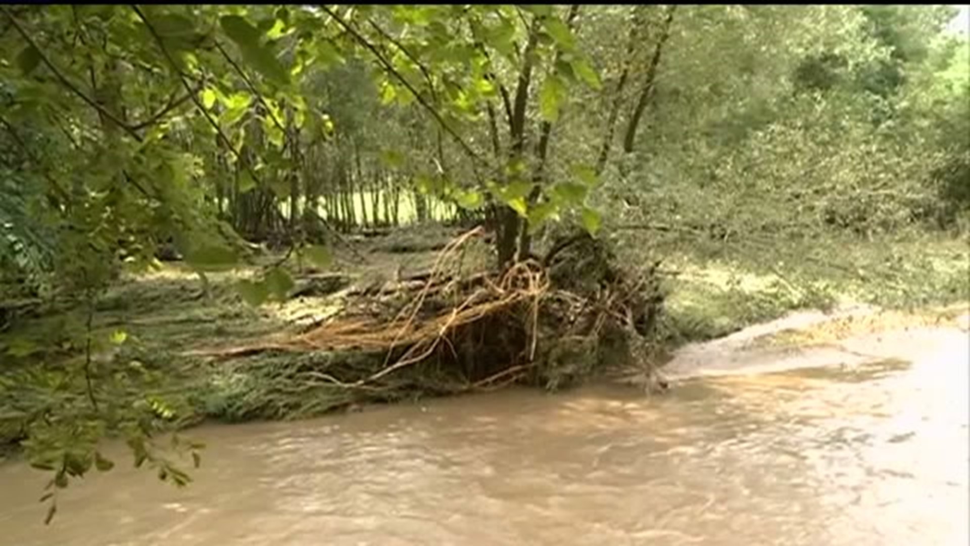 Couple rescued from cabin in flash flood